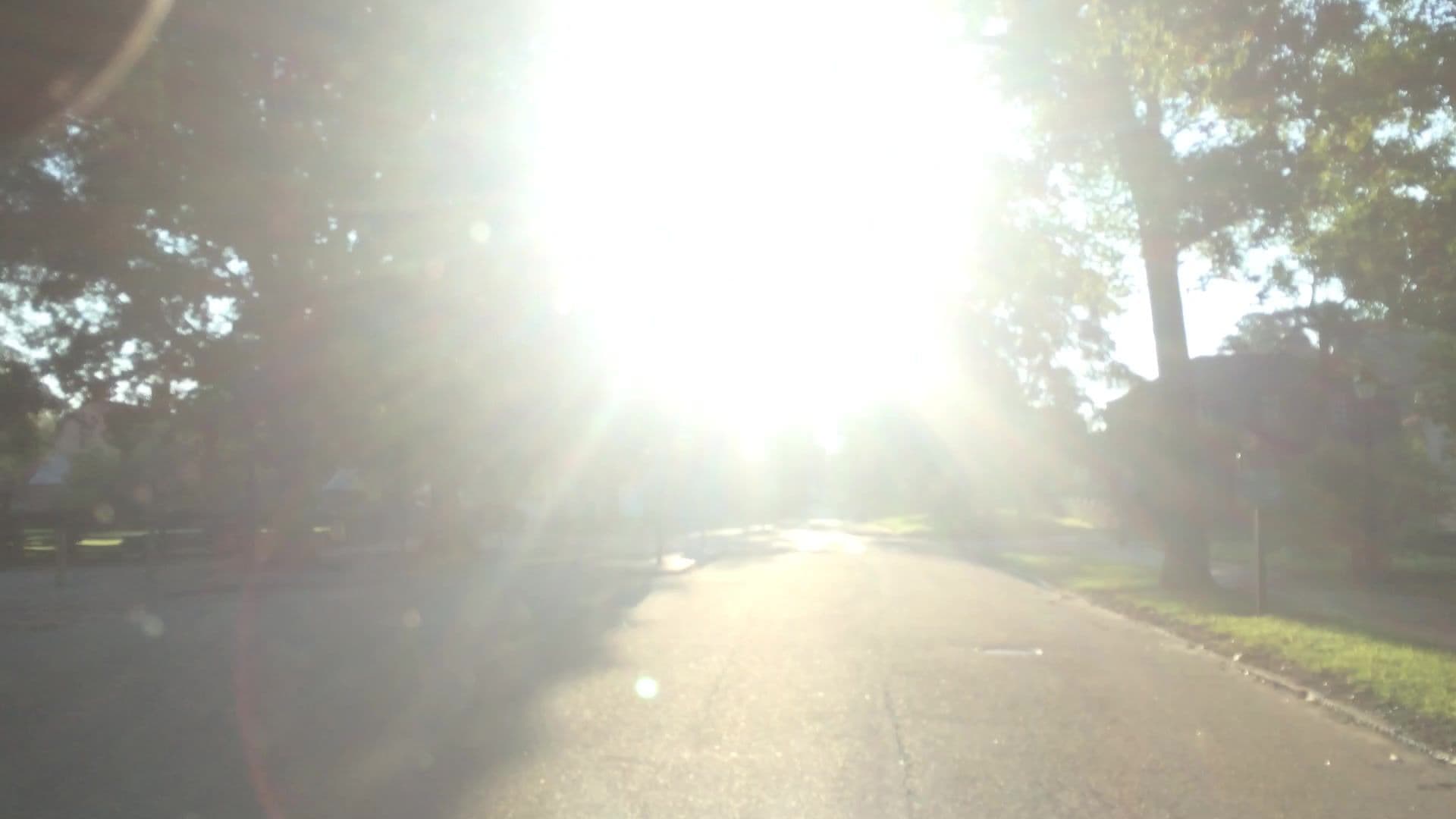 Street view near Nicholas-Tyler Office, Gloucester Point