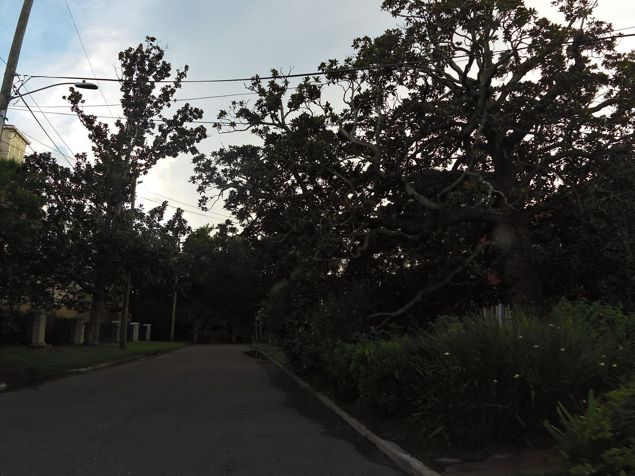 Street view near St. Johns House, Jacksonville