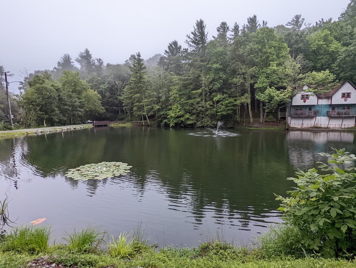 Swiss Mountain Village, Hotel in Blowing Rock