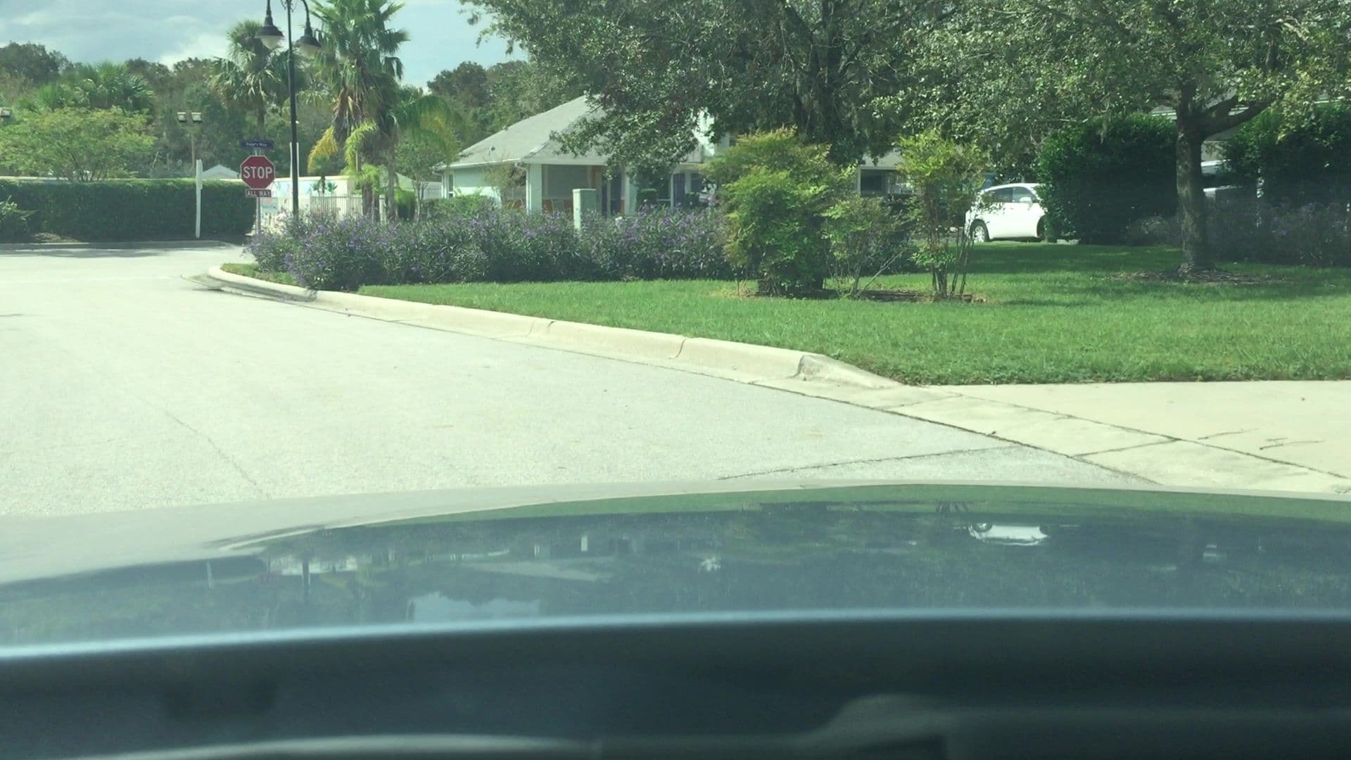 Street view near Villa 113, Kissimmee