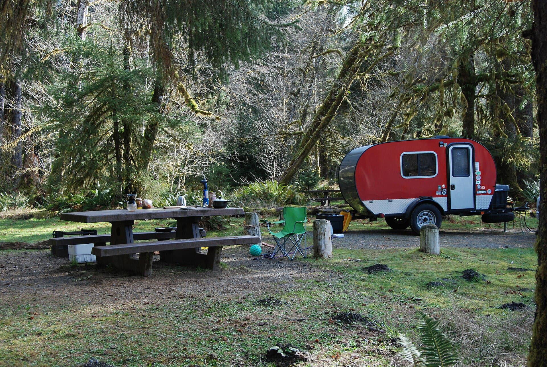 Hoh Rainforest Campground (via Wikimedia Commons, Public domain)