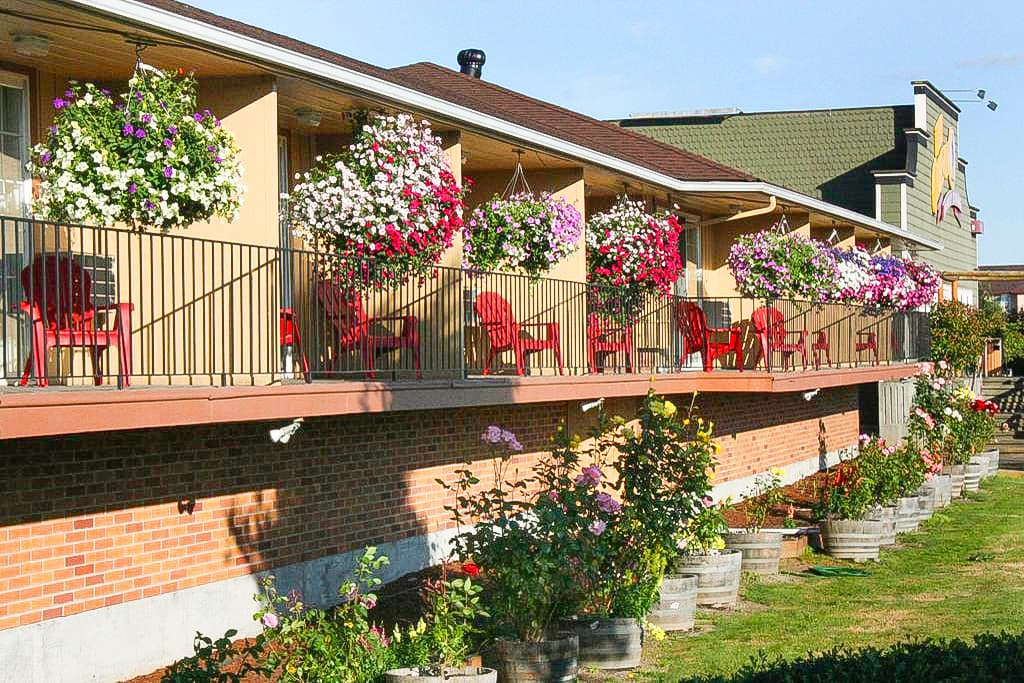 Relax Inn, Motel in Chehalis
