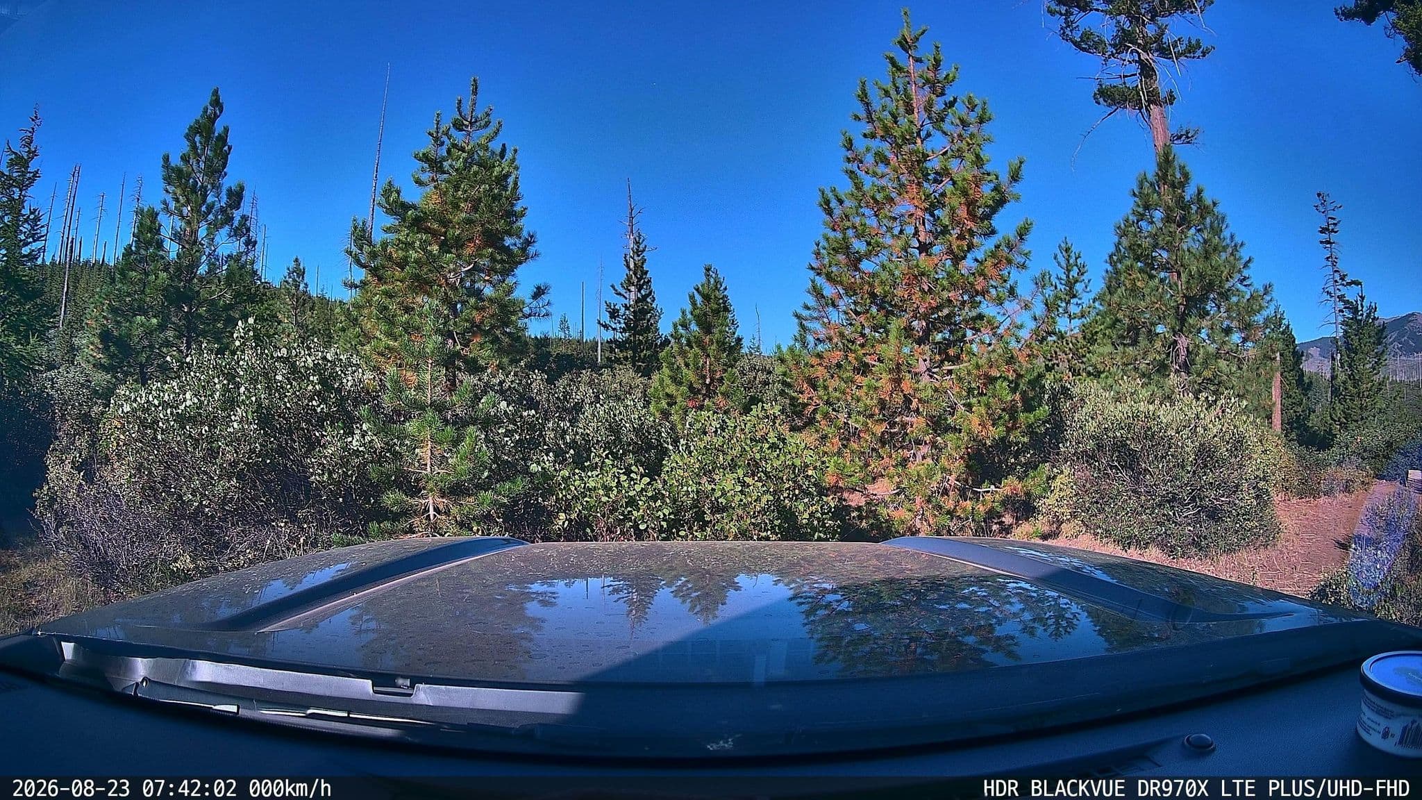 Street view near Round Lake Campground, Sisters — © zemepisar (CC BY-SA · Mapillary)