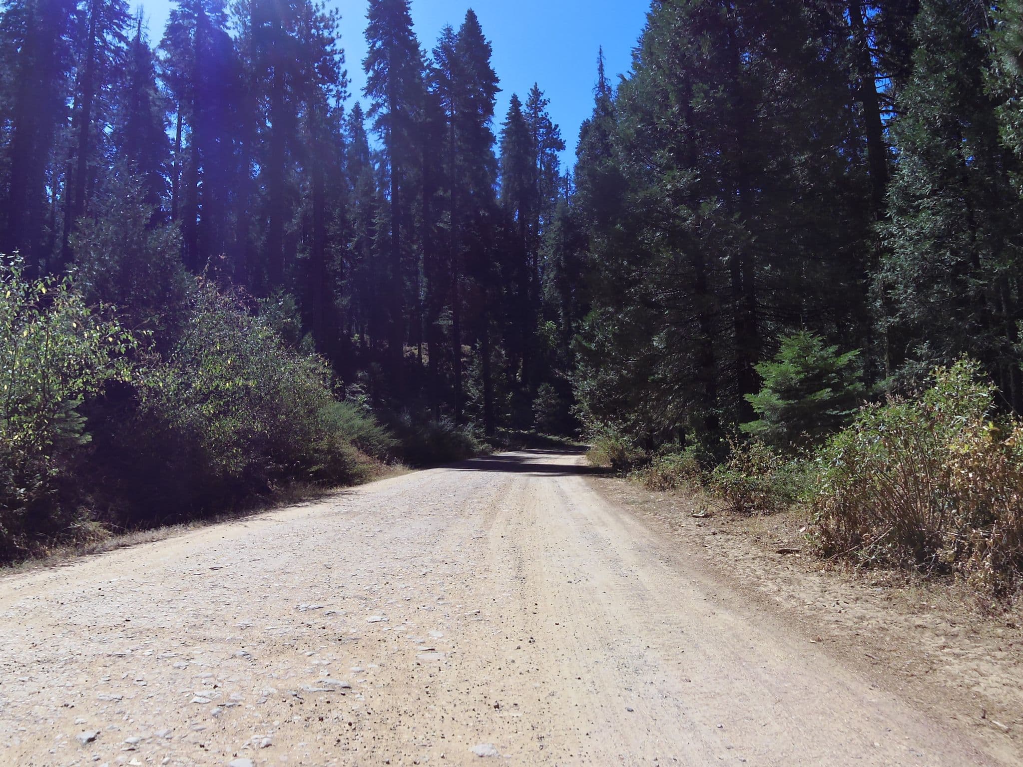 Street view near creekside campsite, Ahwahnee — © clydel (CC BY-SA · Mapillary)