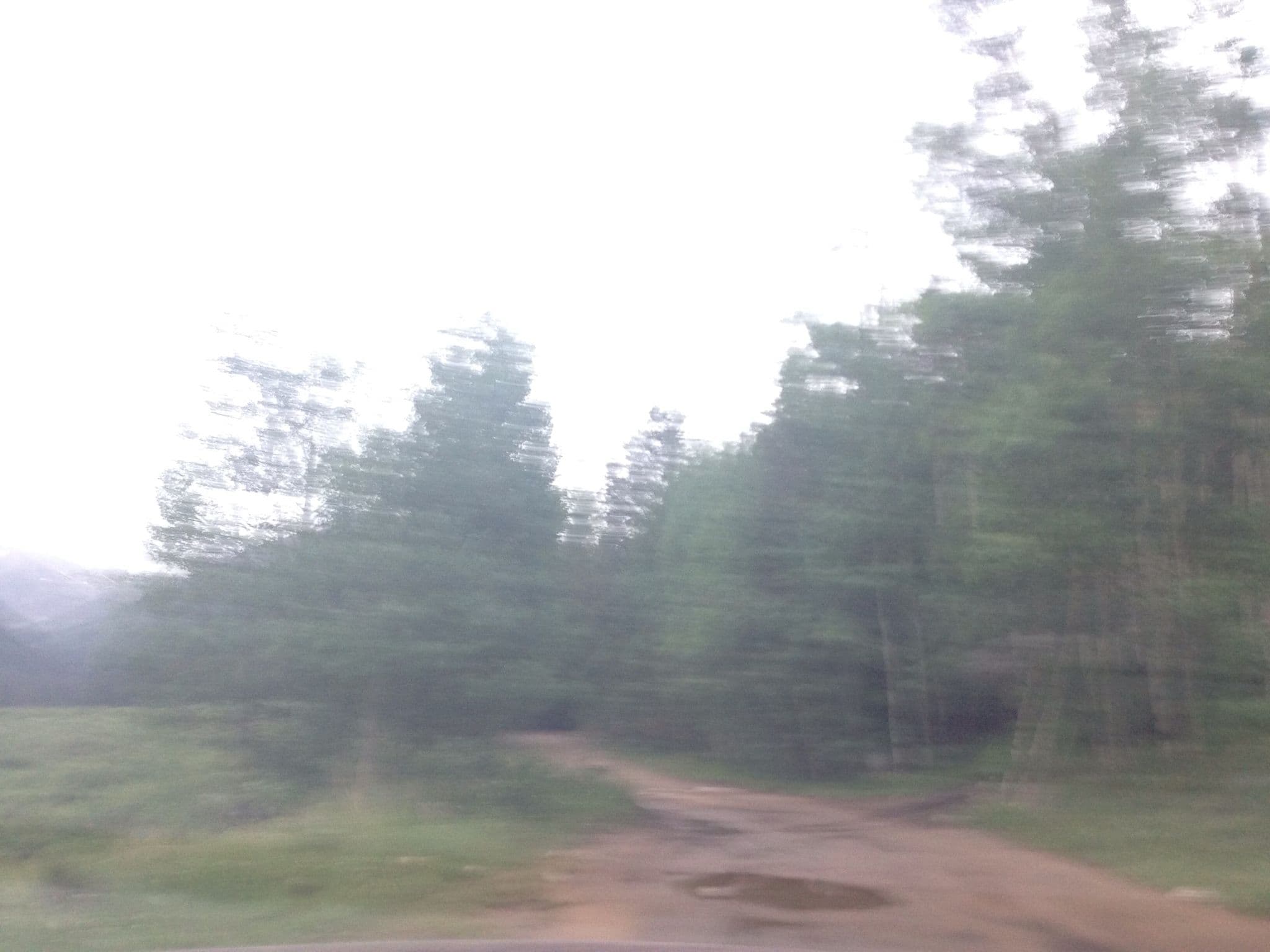Street view near Designated Campsite, Bailey — © chrisbeddow (CC BY-SA · Mapillary)