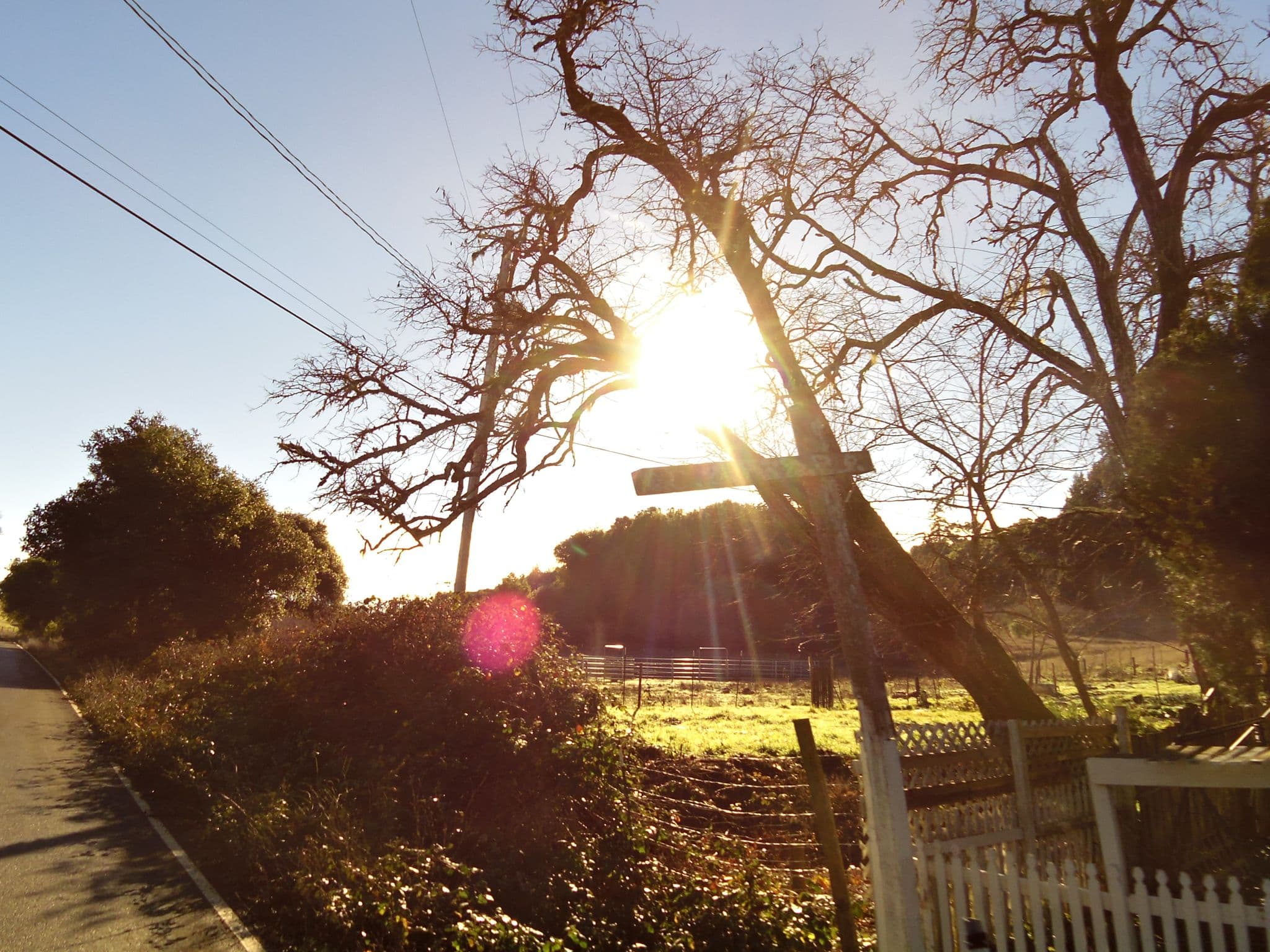 Street view near Blackberry Ranch, Cloverdale