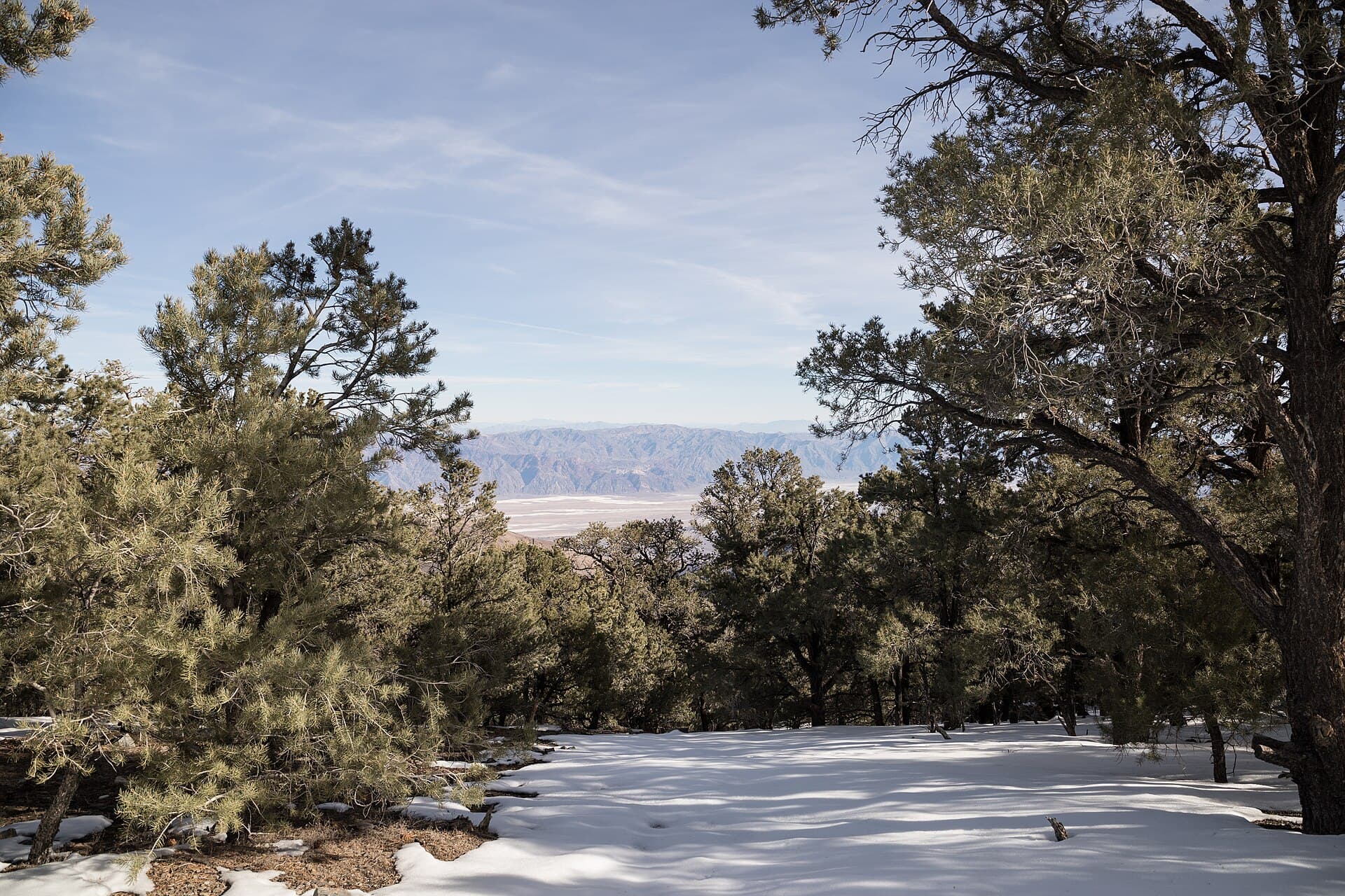 Mahogany Flat Campground (via Wikimedia Commons, CC BY-SA 4.0)