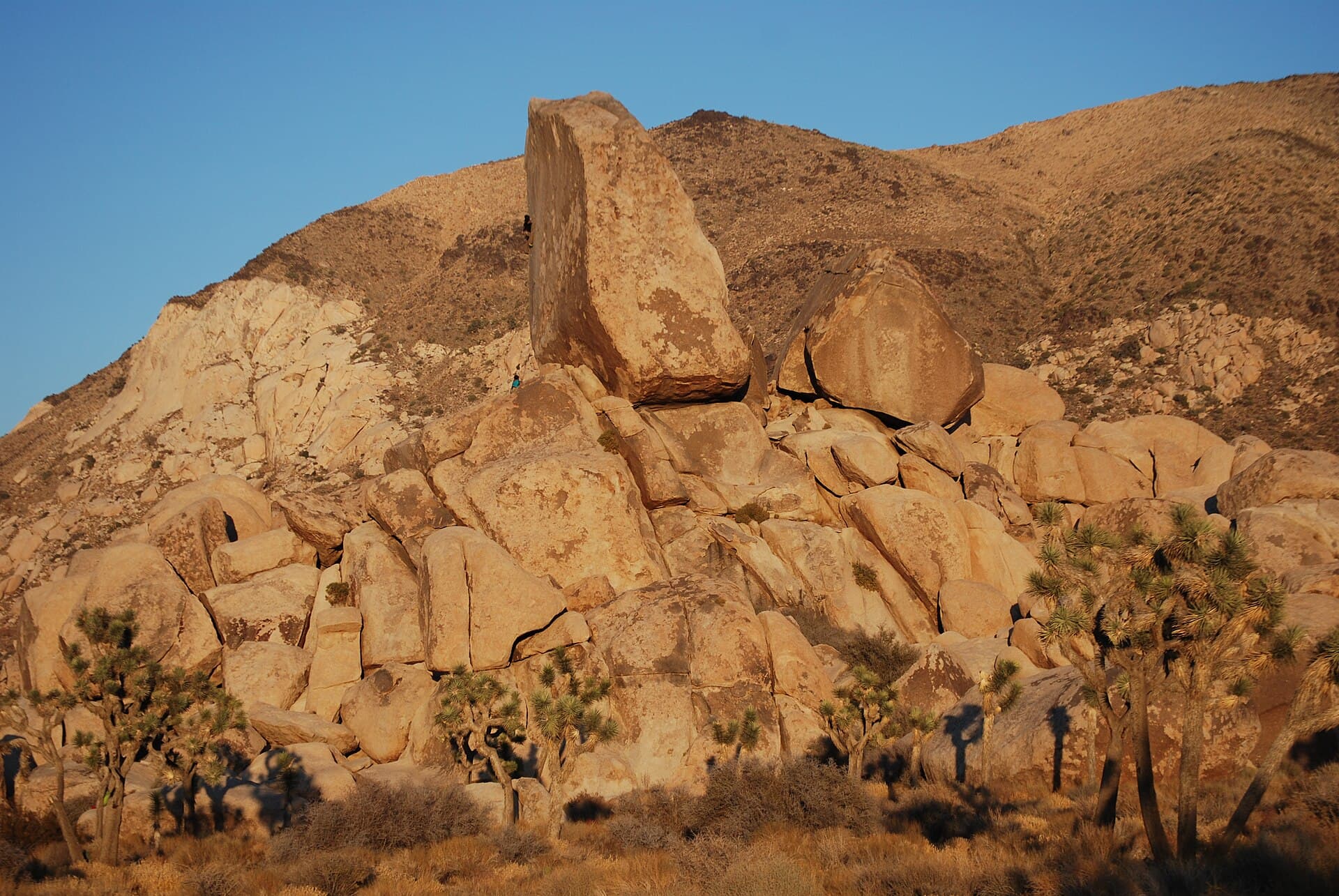 Ryan Mountain Campground (via Wikimedia Commons, CC BY-SA 3.0)