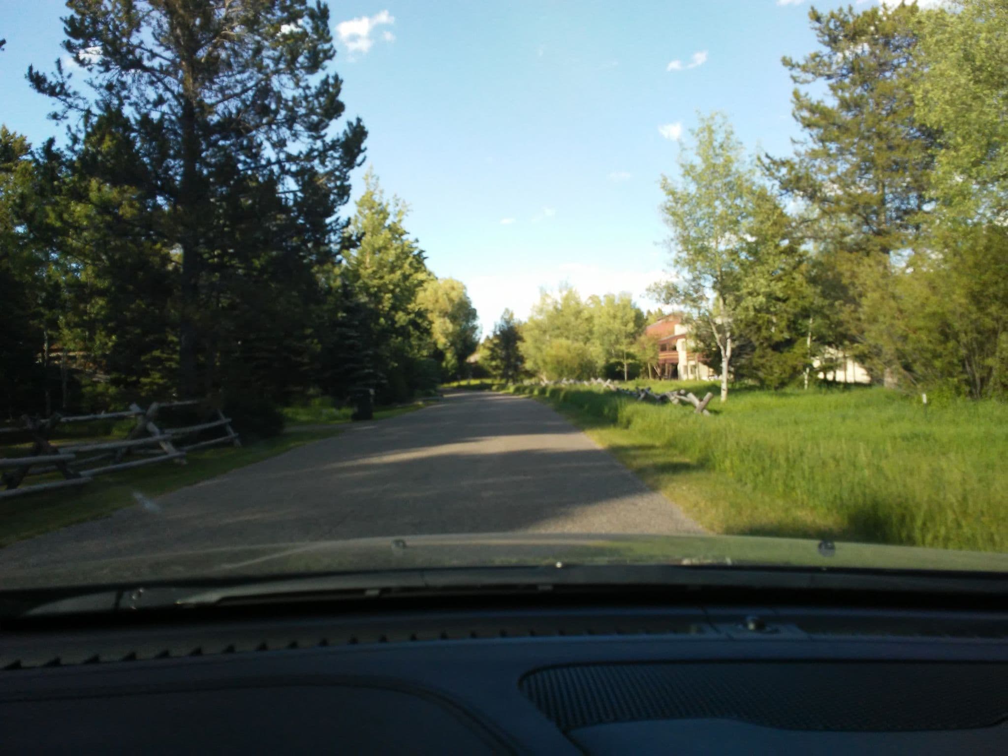 Street view near Tamarack, Moose Wilson Road — © aqua02 (CC BY-SA · Mapillary)