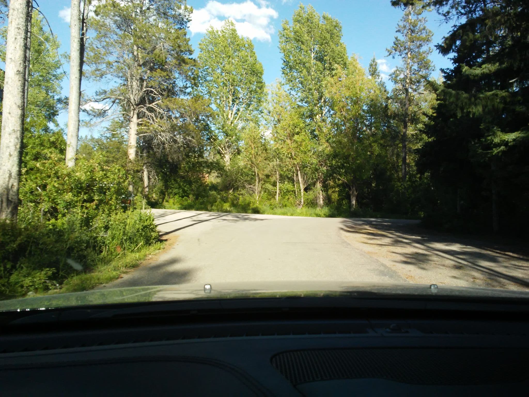 Street view near Raspberry, Moose Wilson Road