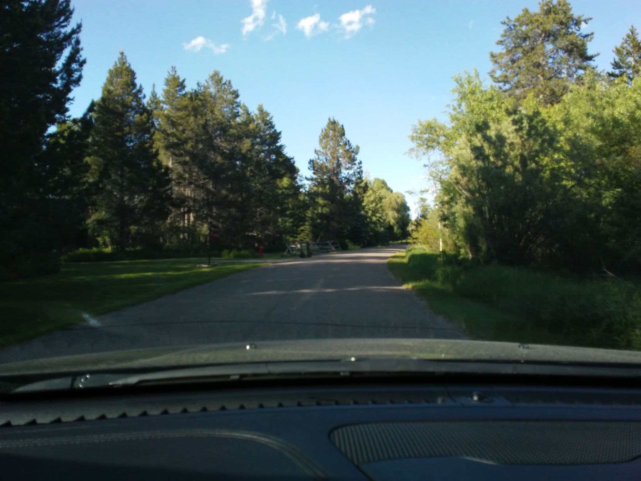 Street view near Cottonwoods, Moose Wilson Road — © aqua02 (CC BY-SA · Mapillary)