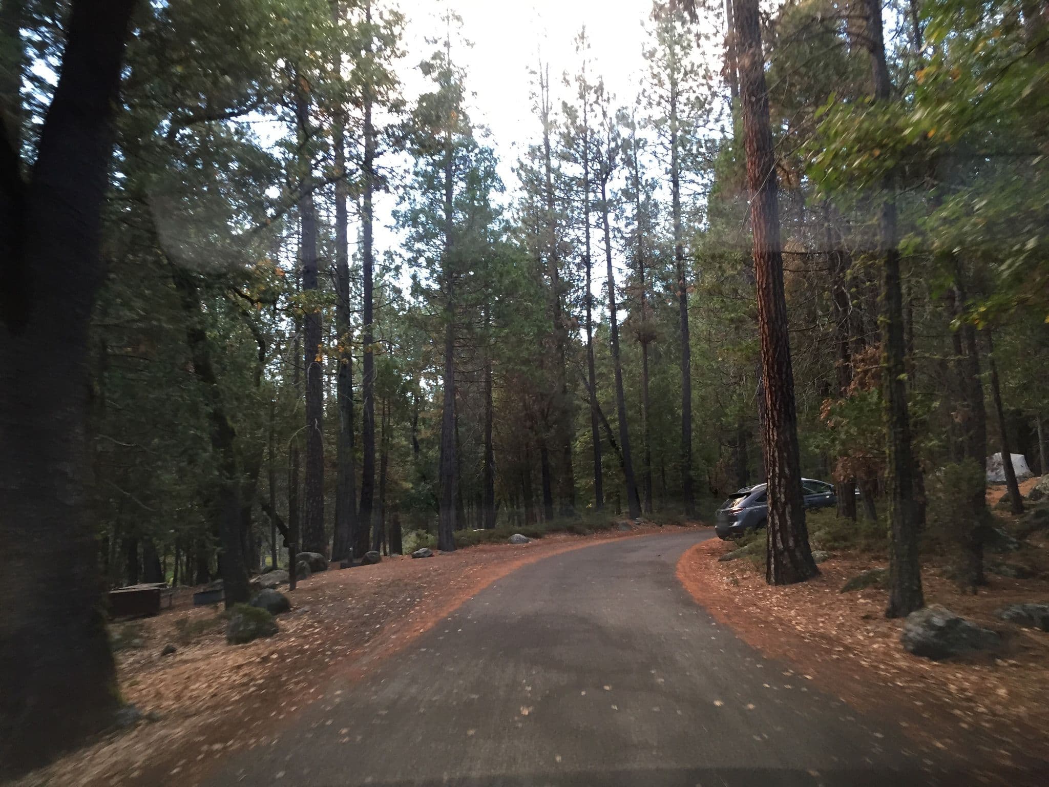 Street view near Wawona Campground, Ahwahnee — © canadarunner (CC BY-SA · Mapillary)