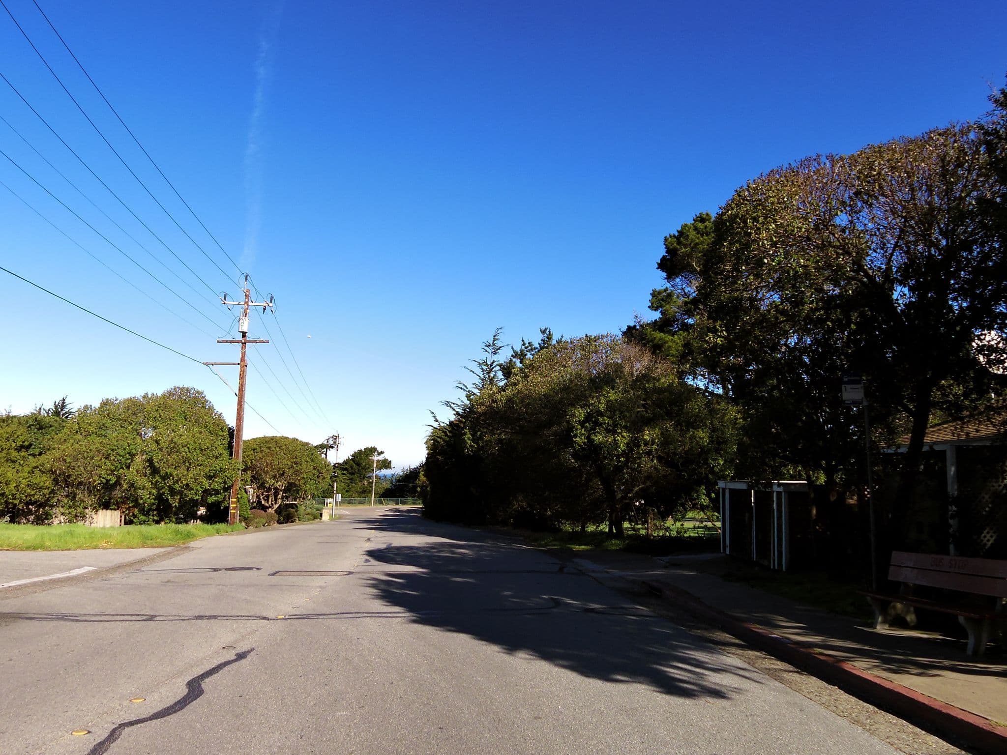 Street view near Lighthouse Lodge, Pacific Grove — © andrewsnow (CC BY-SA · Mapillary)