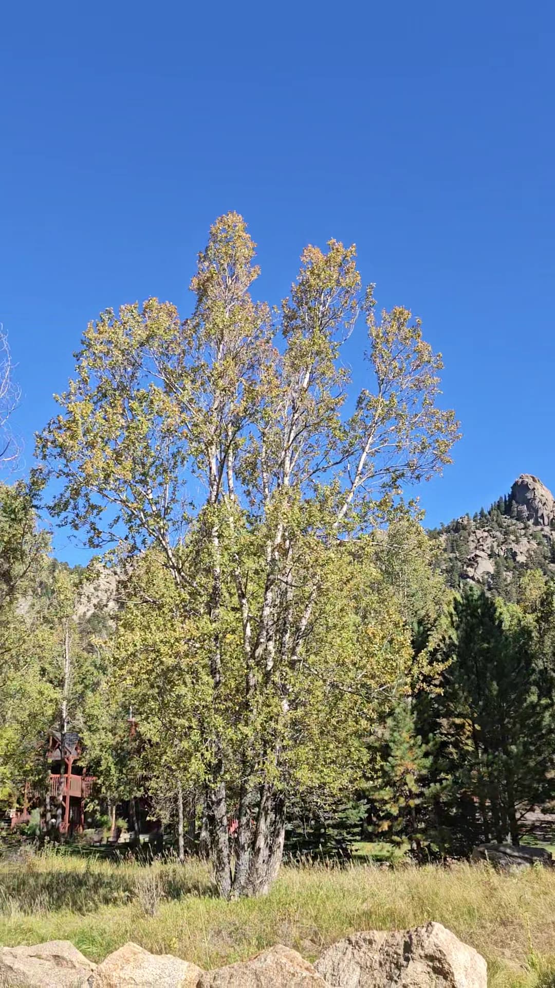 Riverview Pines, Hotel in Estes Park