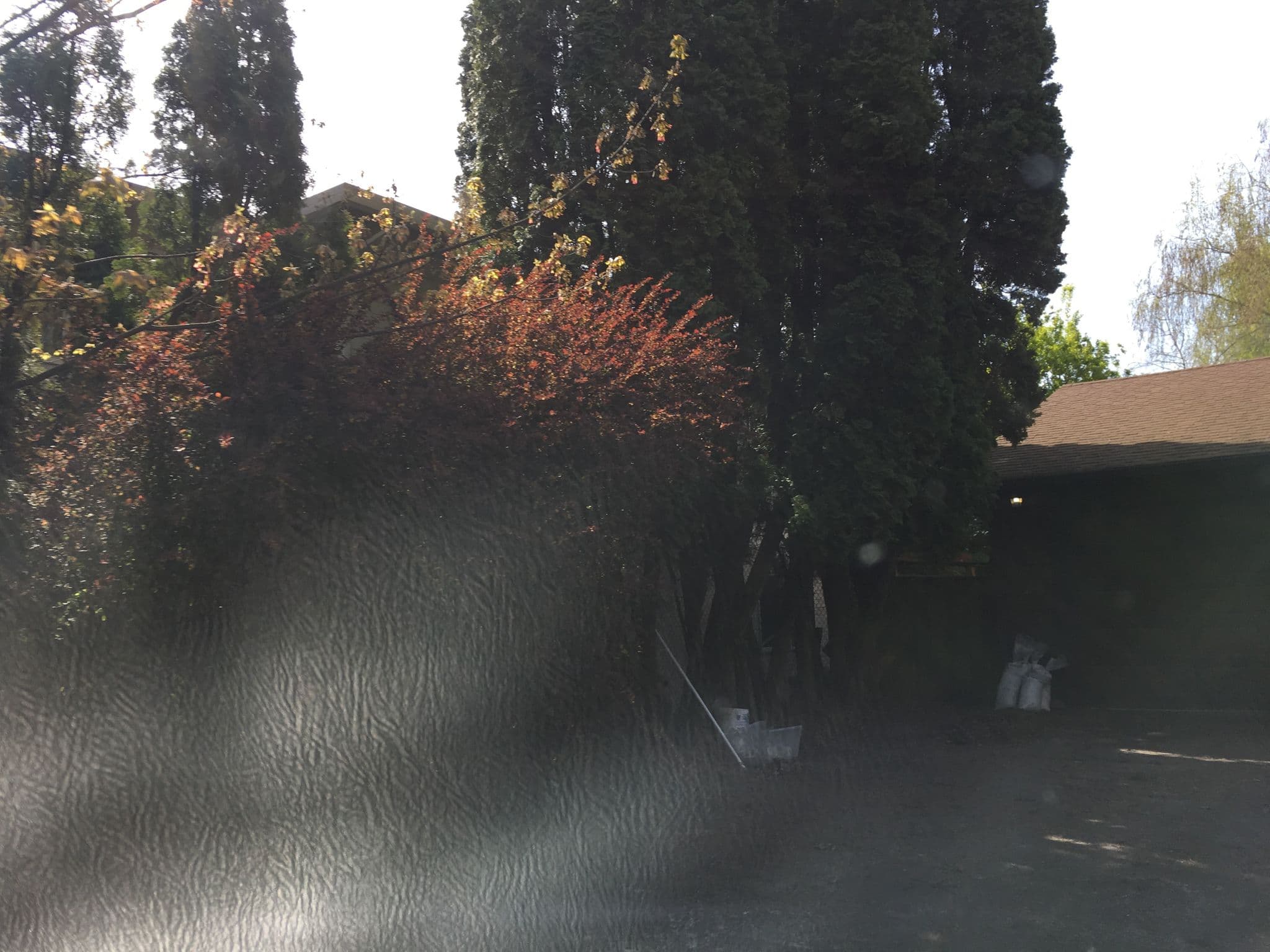 Street view near Motel 6, Lents — © mly_pdx01 (CC BY-SA · Mapillary)