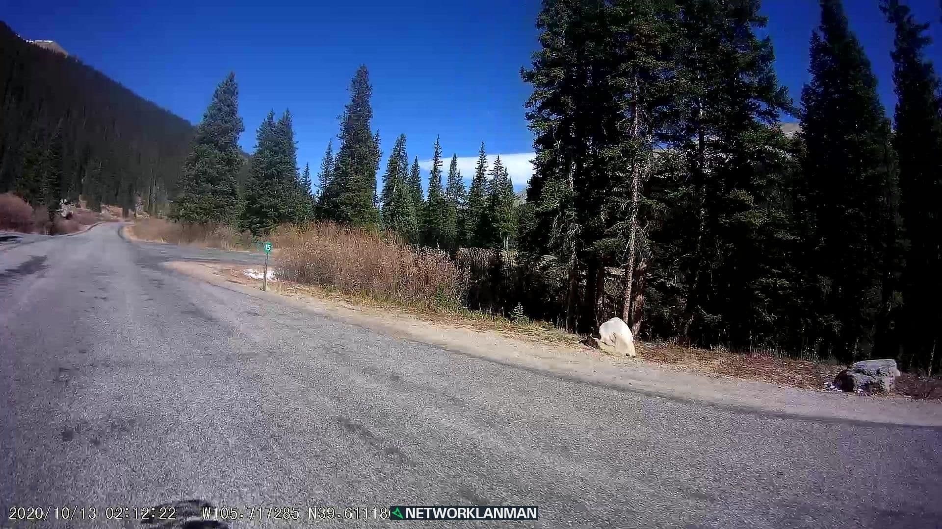 Street view near Guanella Pass Campground, Idaho Springs — © networklanman (CC BY-SA · Mapillary)