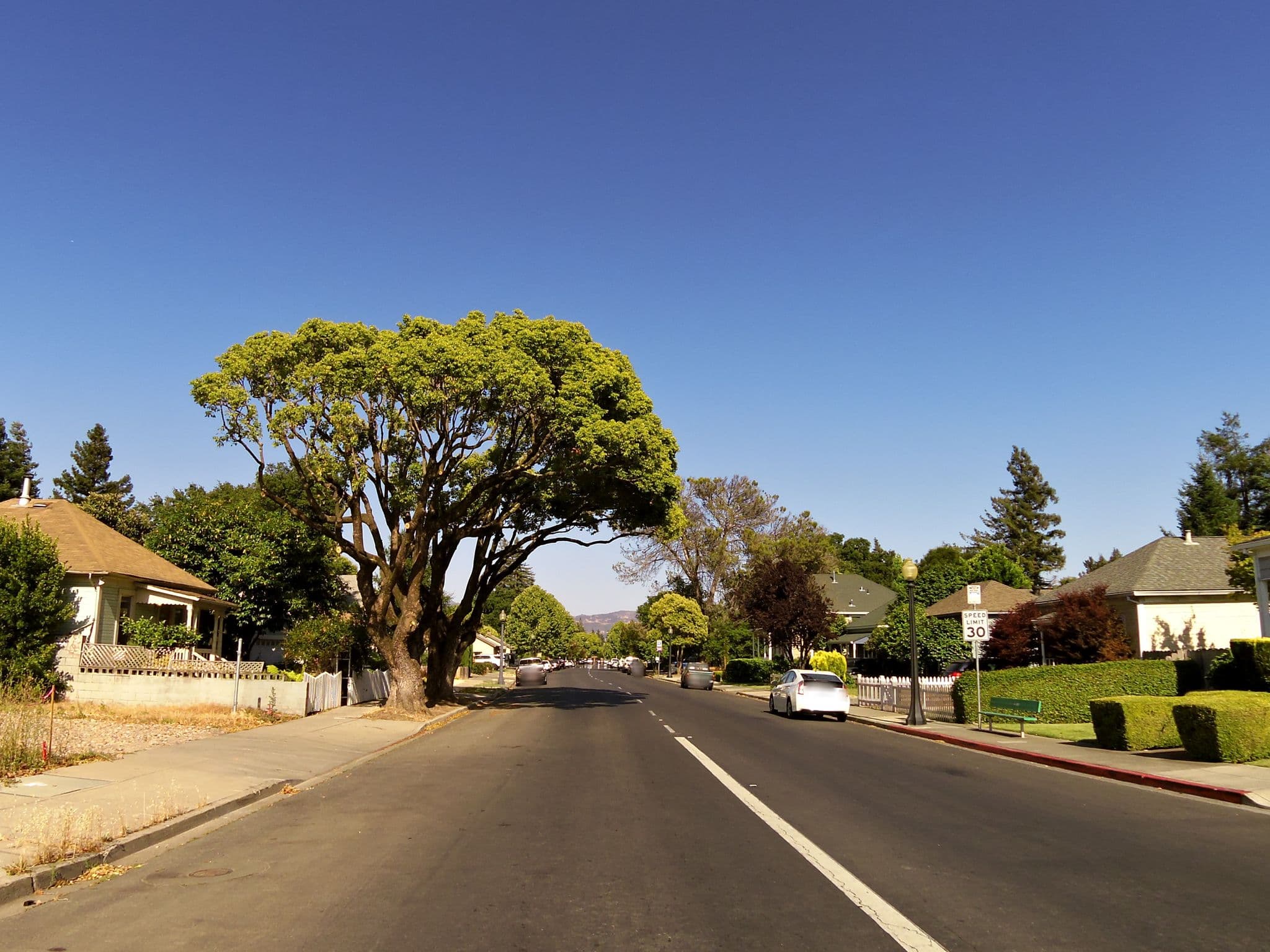 Street view near Best Western Plus Elm House Inn, Napa — © andrewsnow (CC BY-SA · Mapillary)