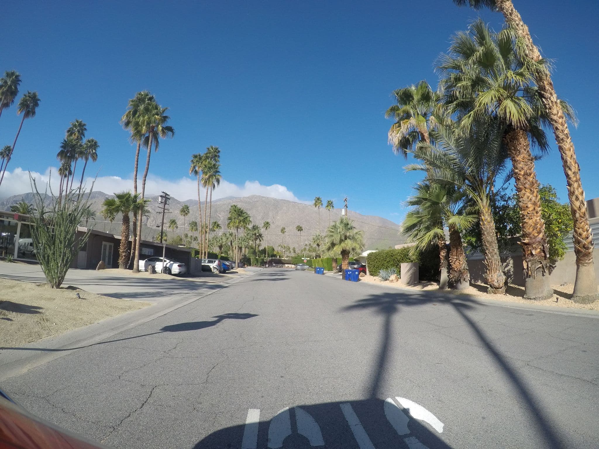 Street view near INNdulge, Palm Springs — © chrisbeddow (CC BY-SA · Mapillary)