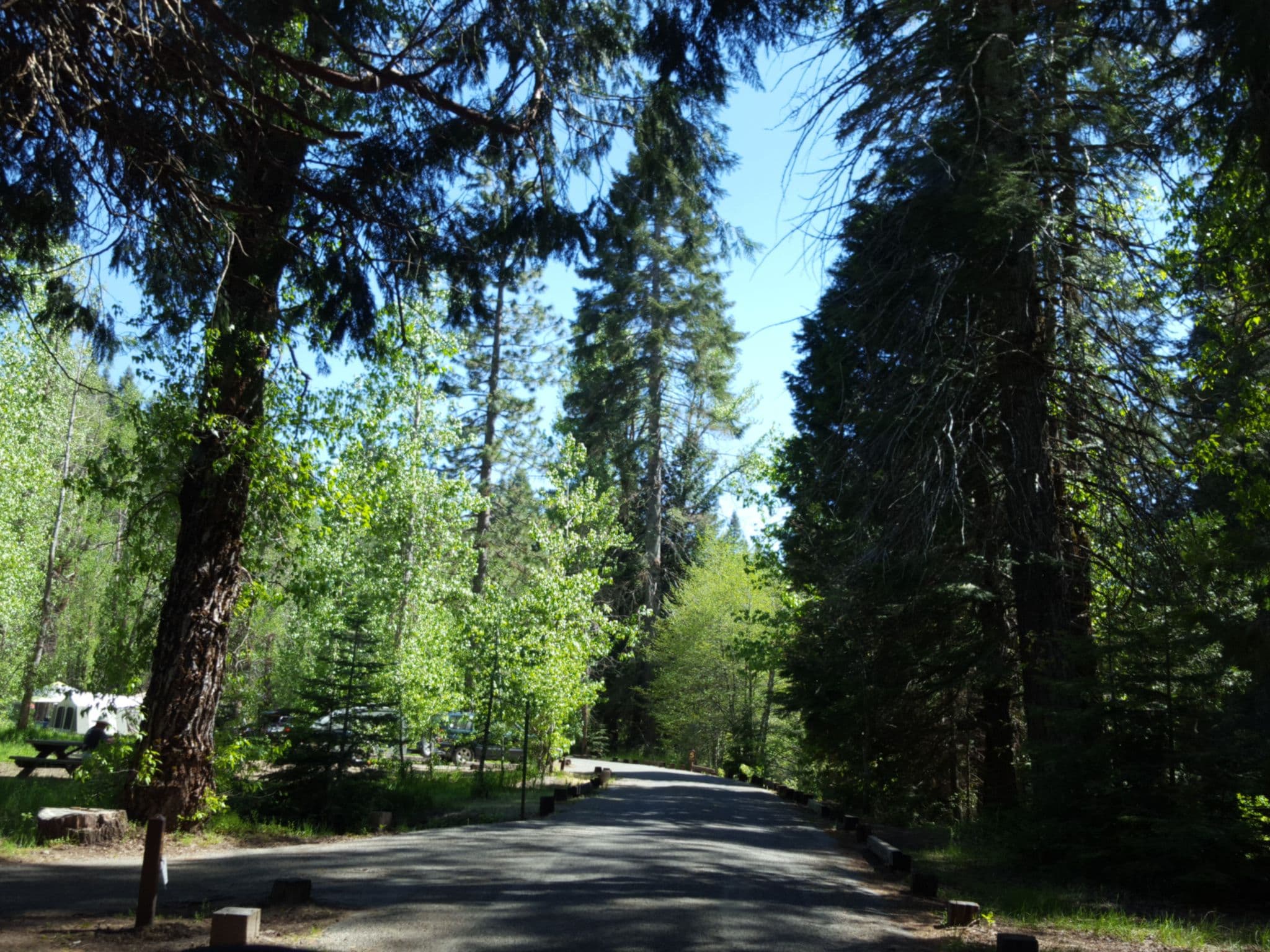 Street view near Summerdale Campground, Ahwahnee — © nmixter (CC BY-SA · Mapillary)