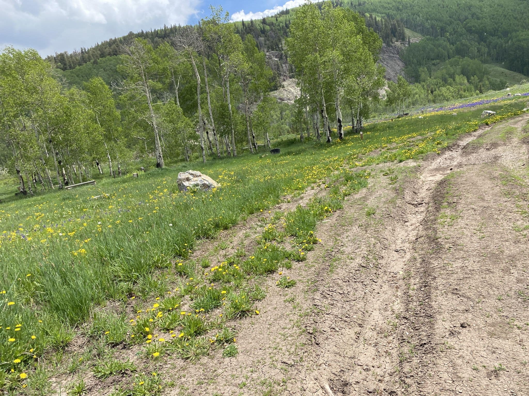 Street view near Campsites TC 1-14, Crested Butte — © derricknehrenberg (CC BY-SA · Mapillary)