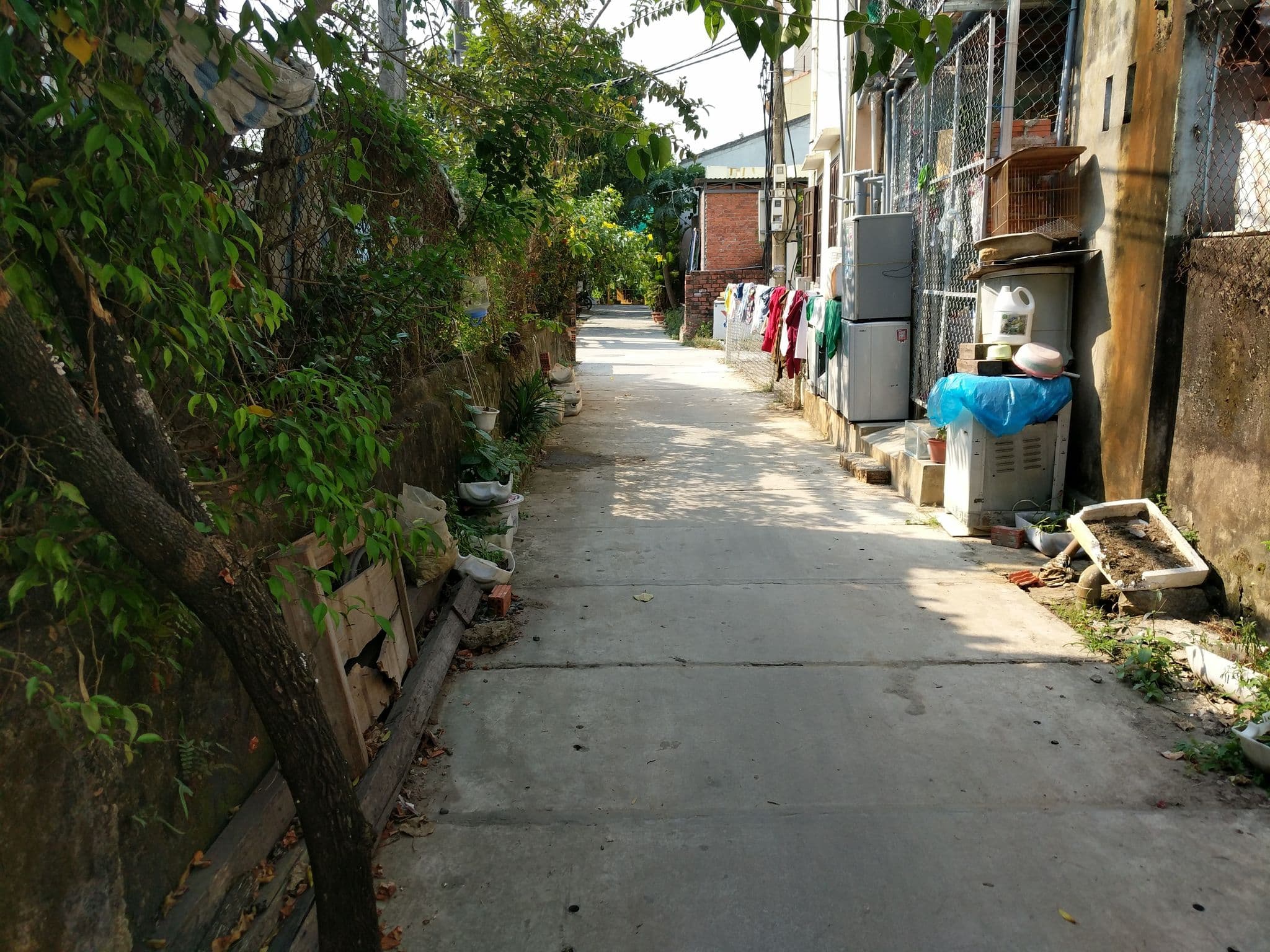 Street view near Tribee Hostel, Hoi An