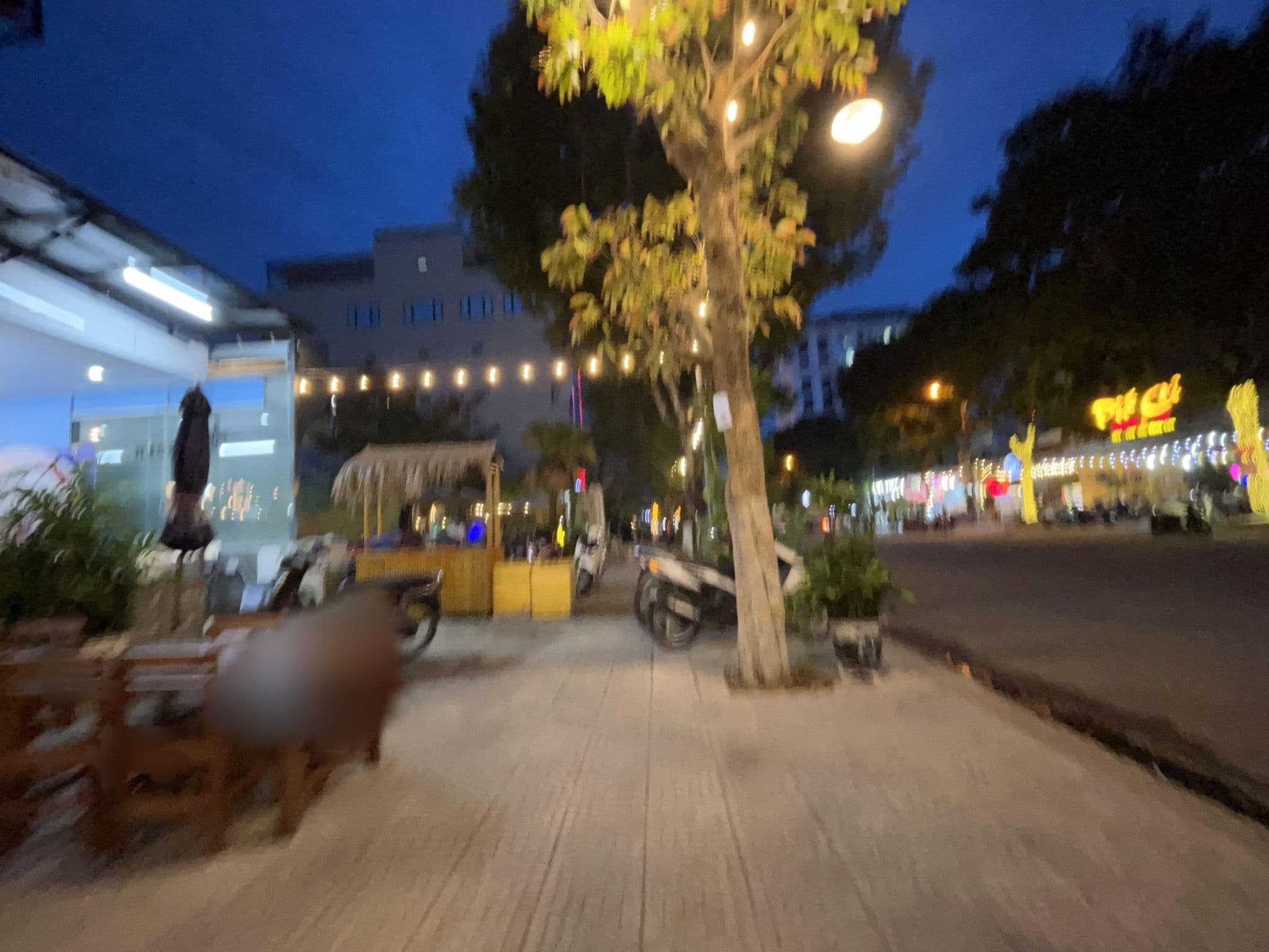 Street view near Mike’s Place, Sơn Trà — © ruslan_fat (CC BY-SA · Mapillary)