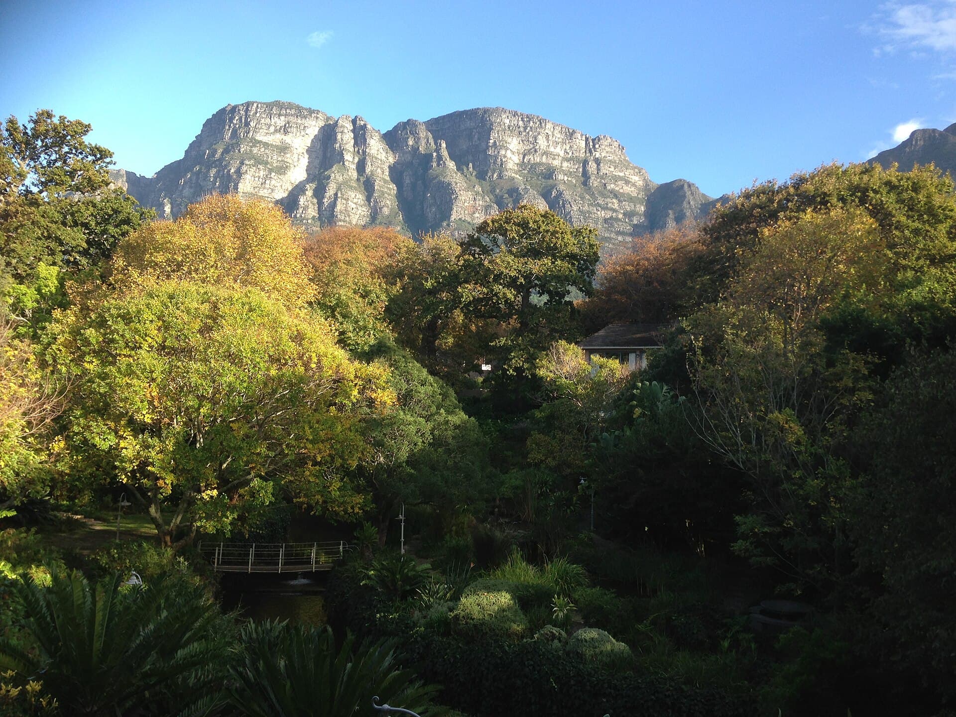 The Vineyard Hotel (via Wikimedia Commons, CC0)