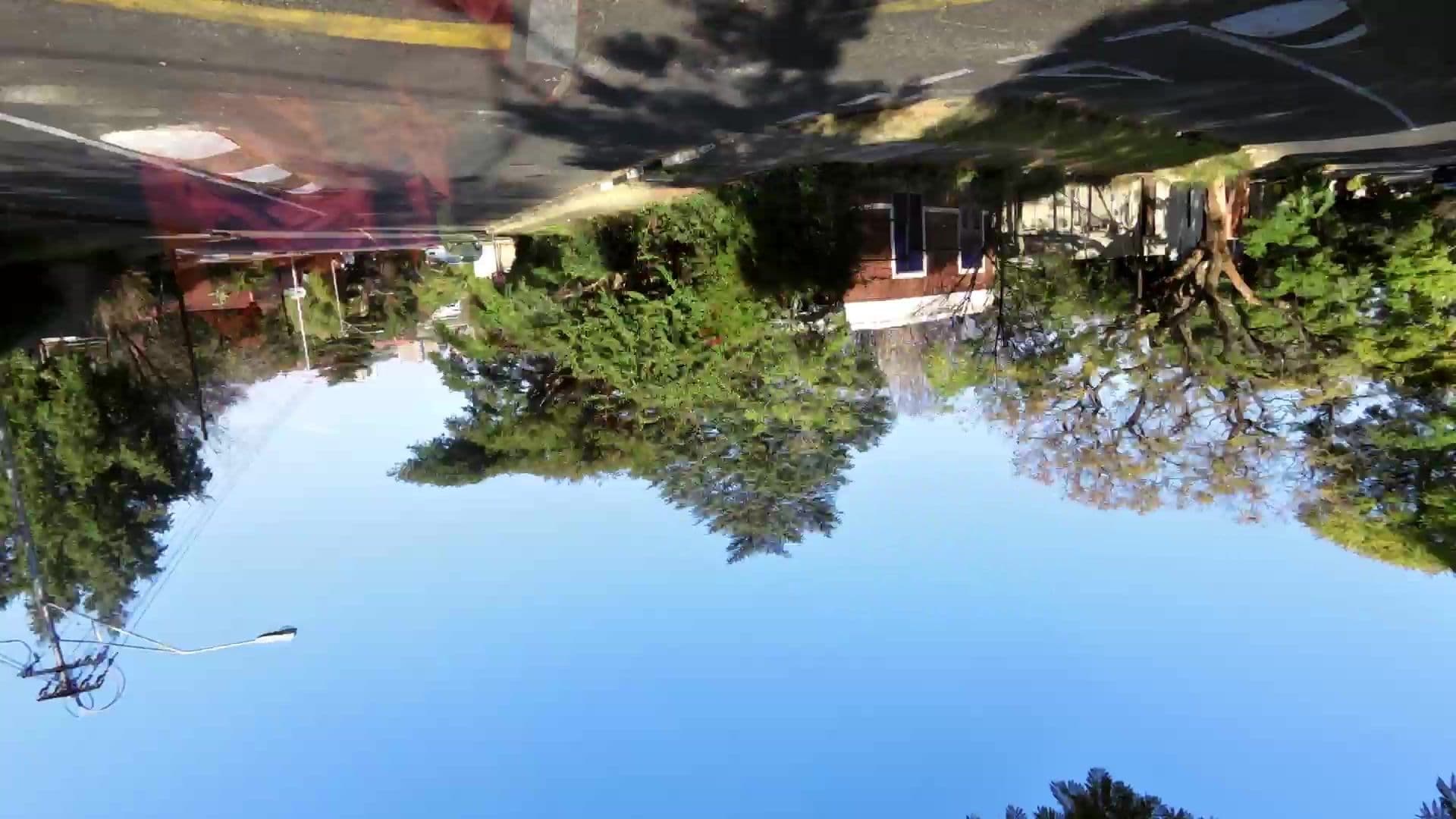 Street view near The Wendy House - Melville, Johannesburg — © kaartcam (CC BY-SA · Mapillary)