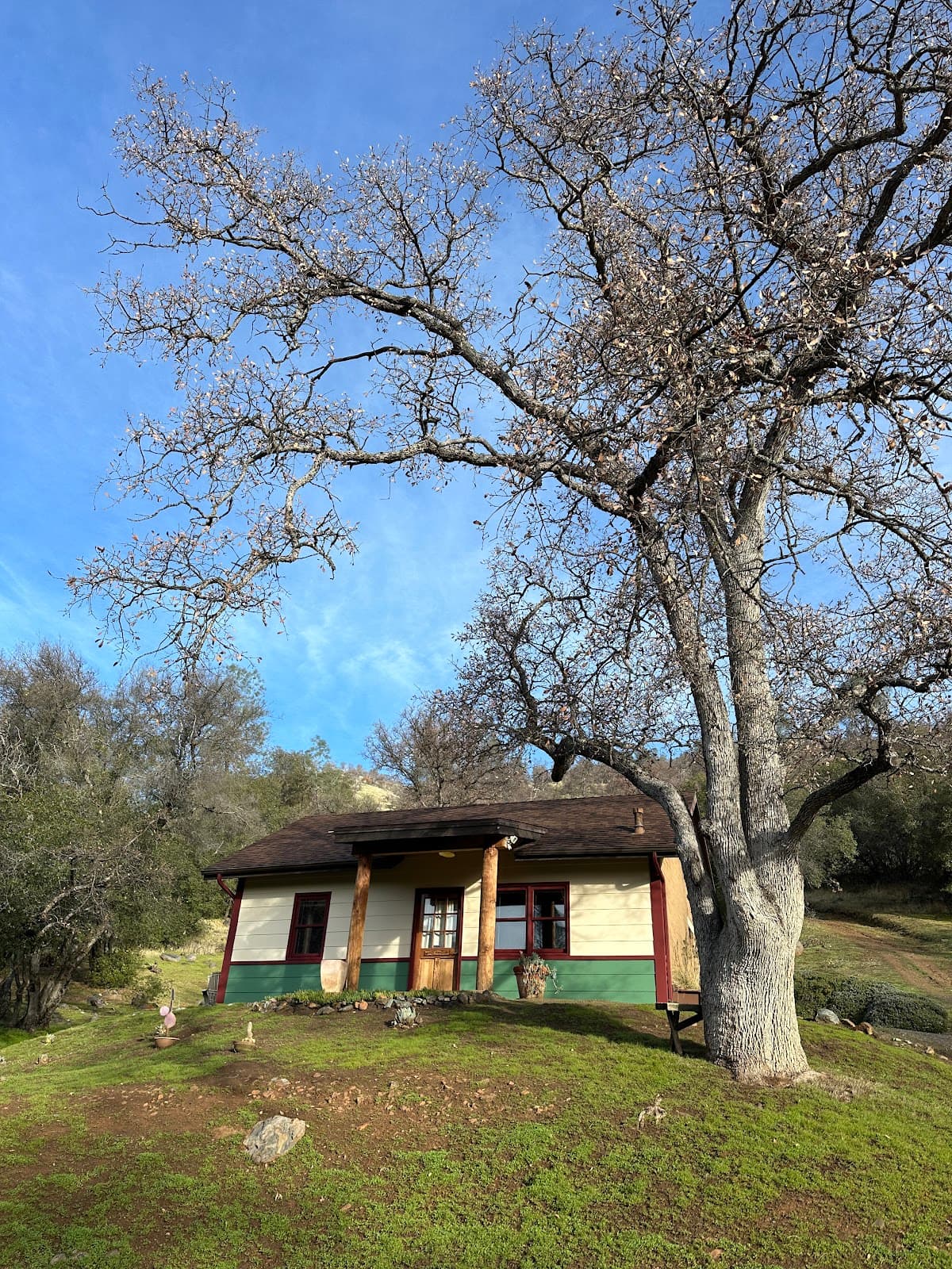 Homestead Cottages, Hotel in Ahwahnee