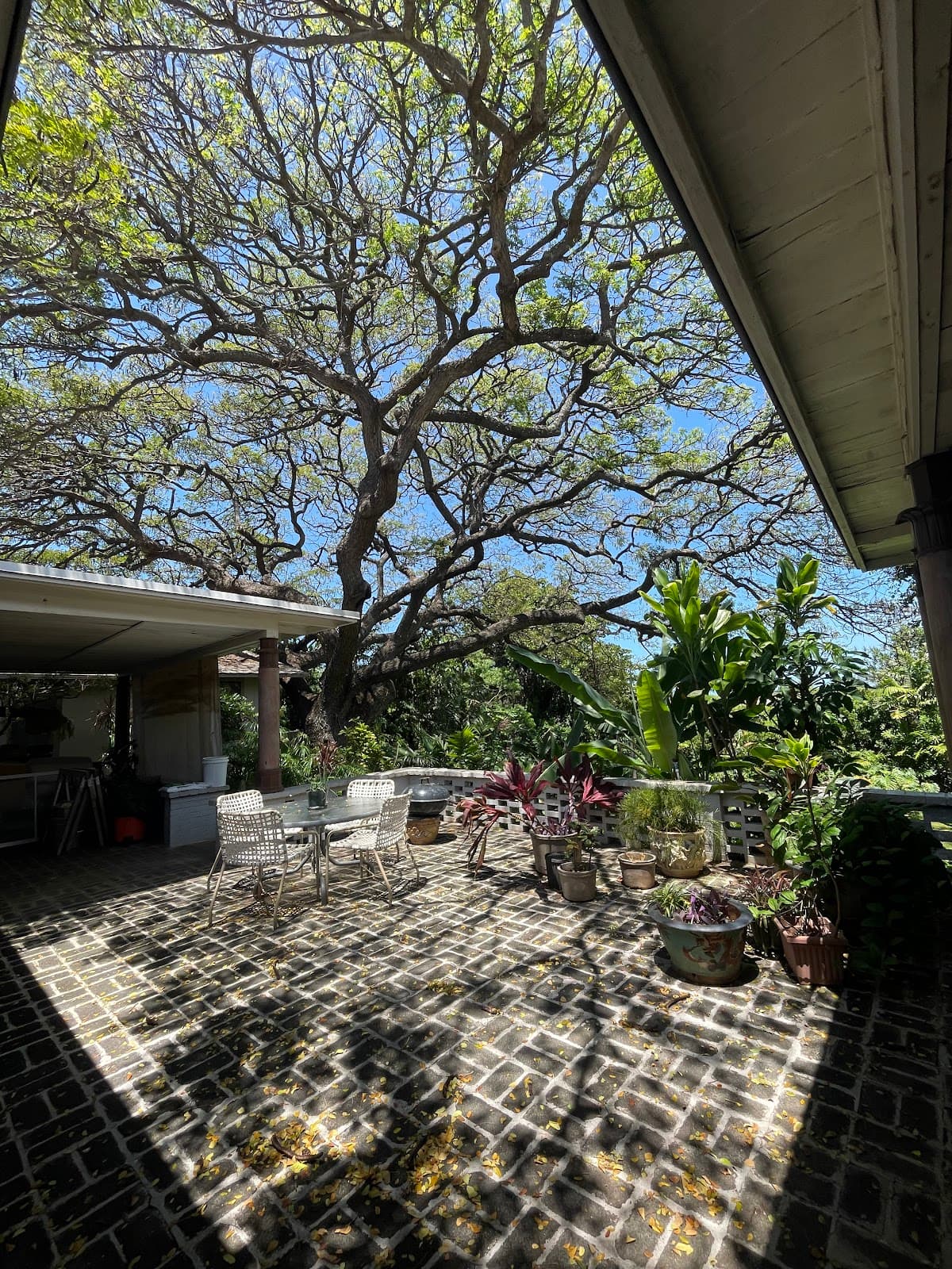 Diamond Head Bed & Breakfast, Bed & Breakfast in Diamond Head / Kapahulu / Saint Louis Heights