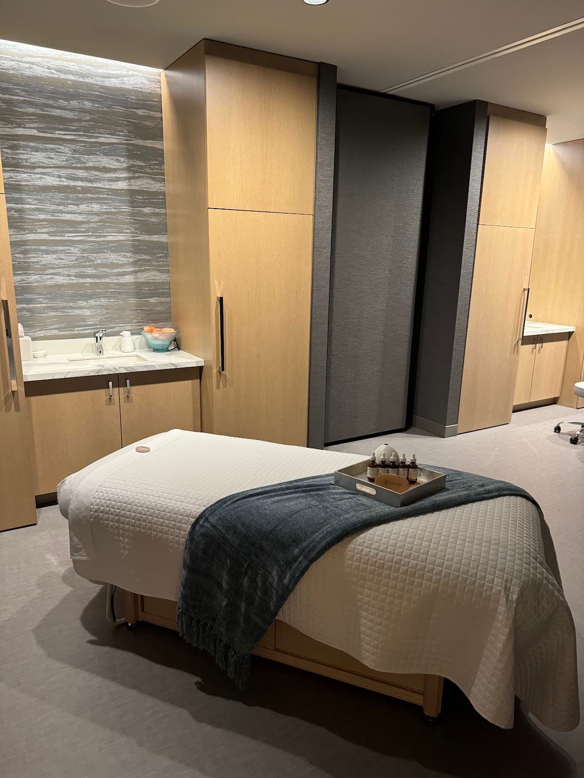 The Spa at Loews Arlington Hotel, Hotel in Arlington