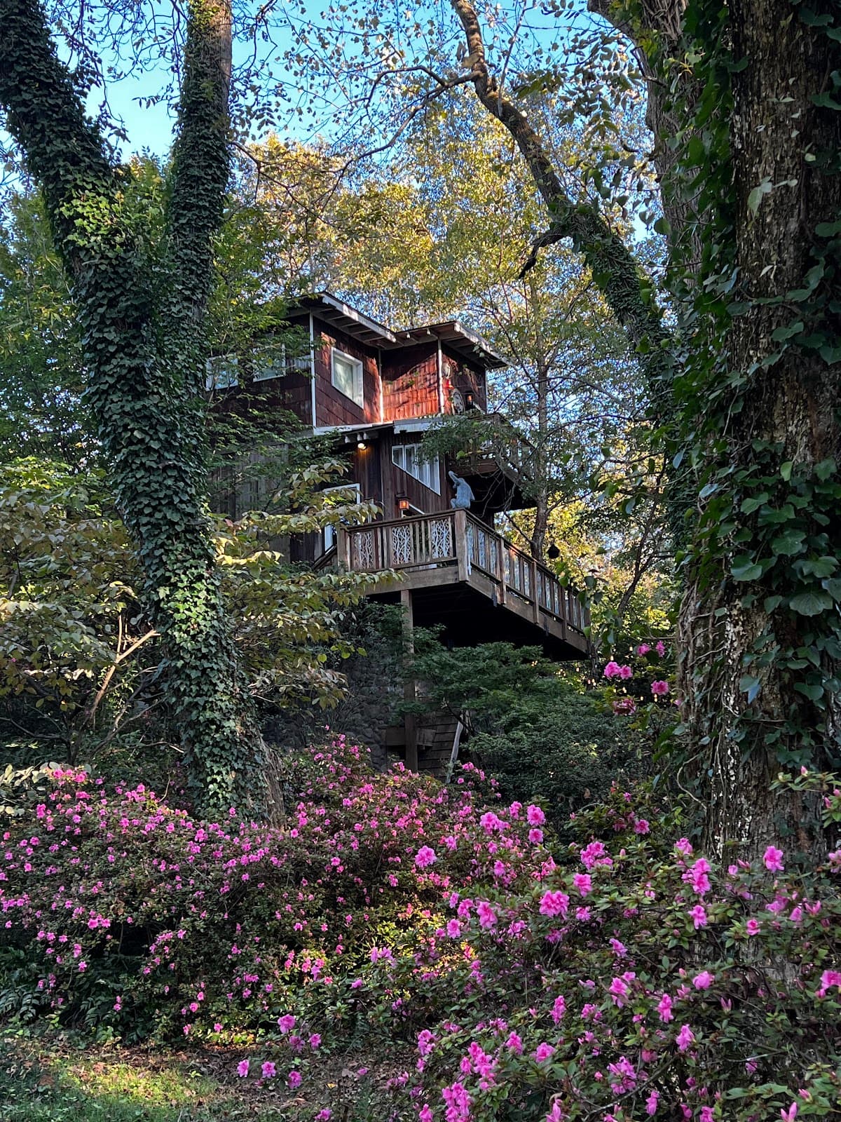 Archimedes Nest at The Emu Gardens, Bed & Breakfast in Reynoldstown