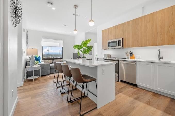 Luxury Furnished Apartment Near Logan Airport - Two-Bedroom Apartment, Hotel in East Boston