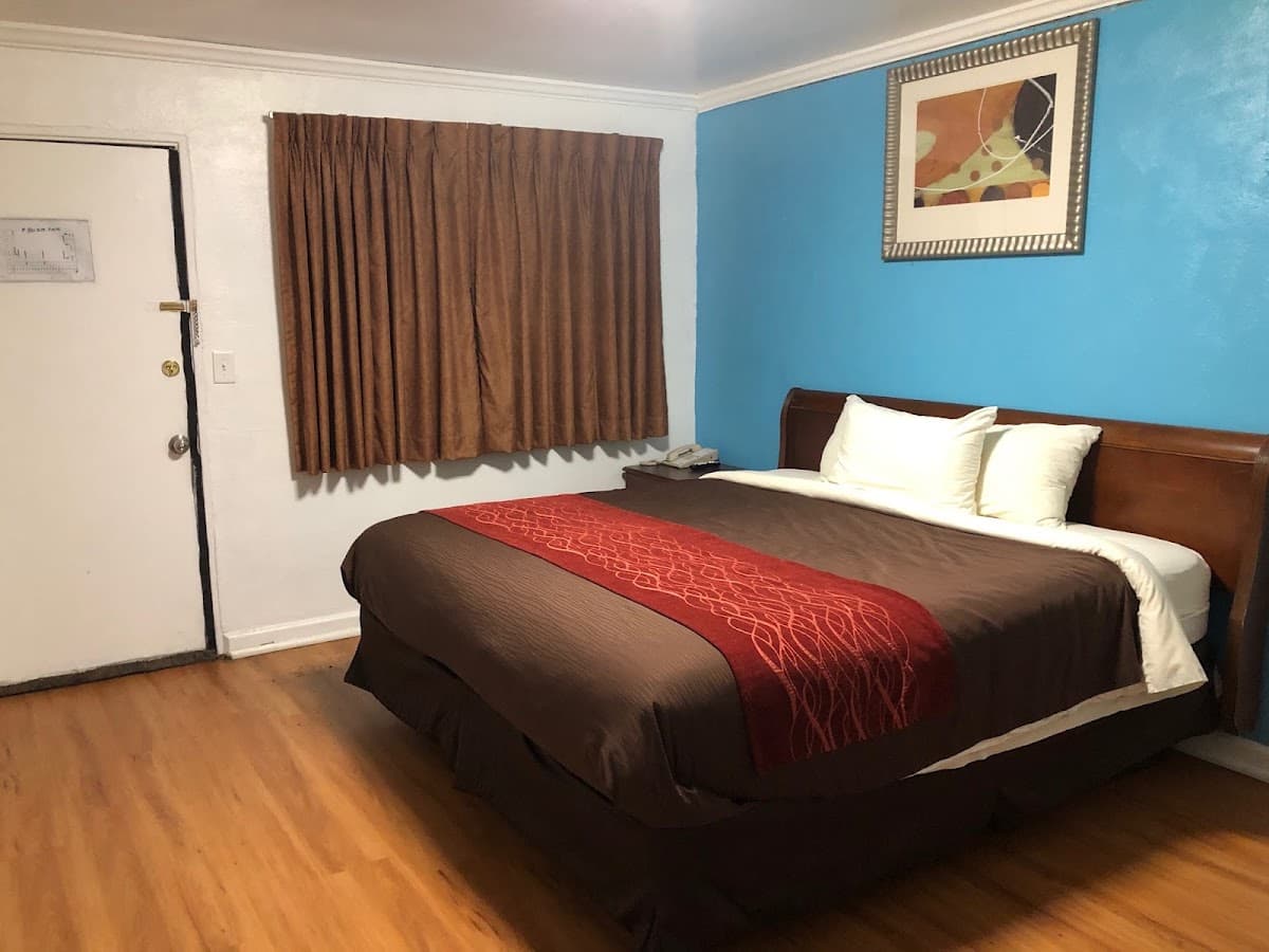 Collier's Motel, Hotel in Buechel
