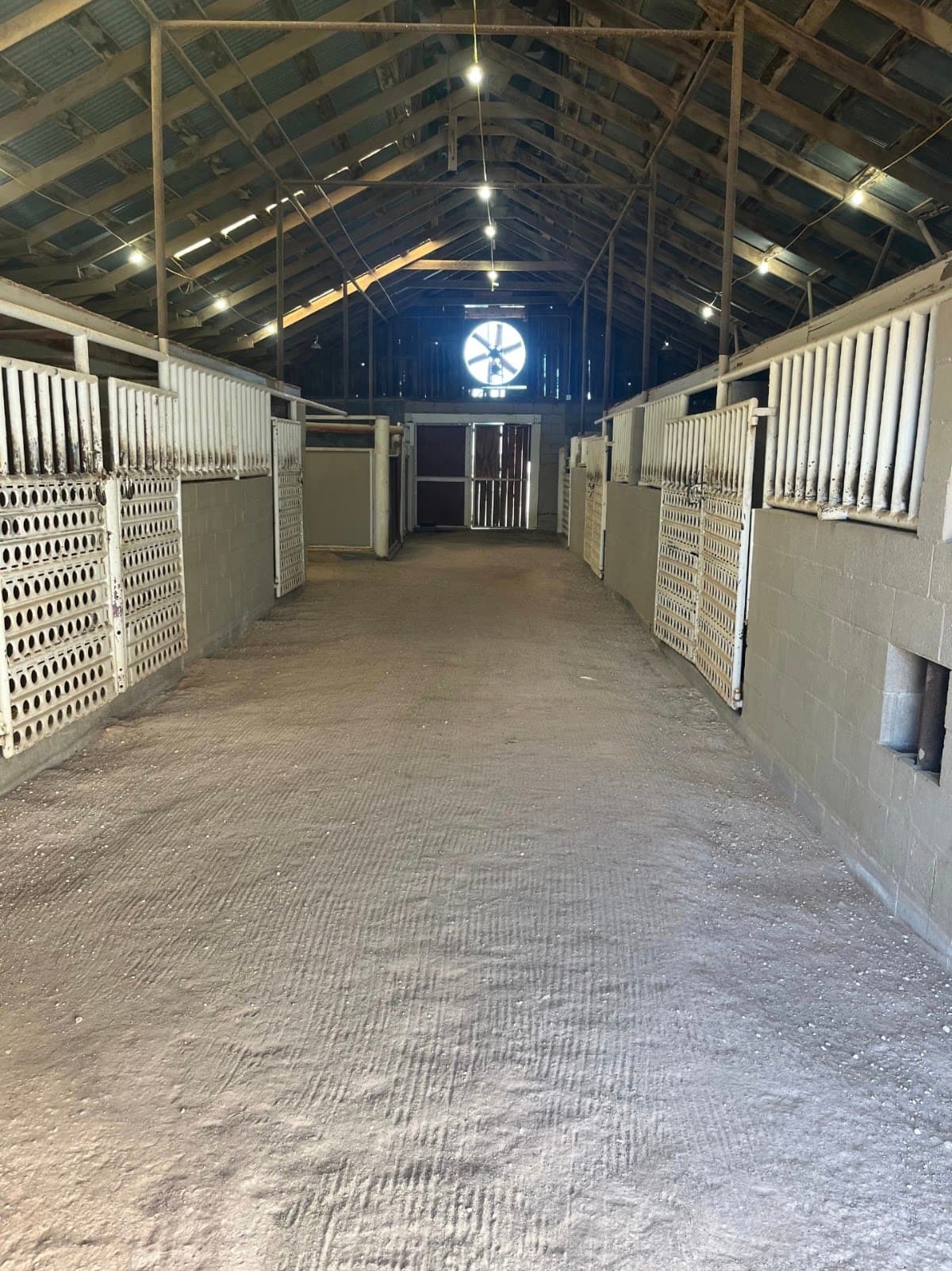 Happy Tracks Horse Motel, Hotel in Bushland