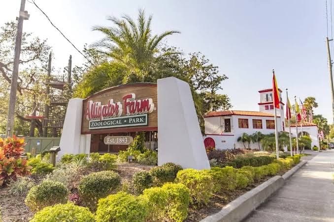 Hibiscus Oceanfront Resort, Hotel in Butler Beach