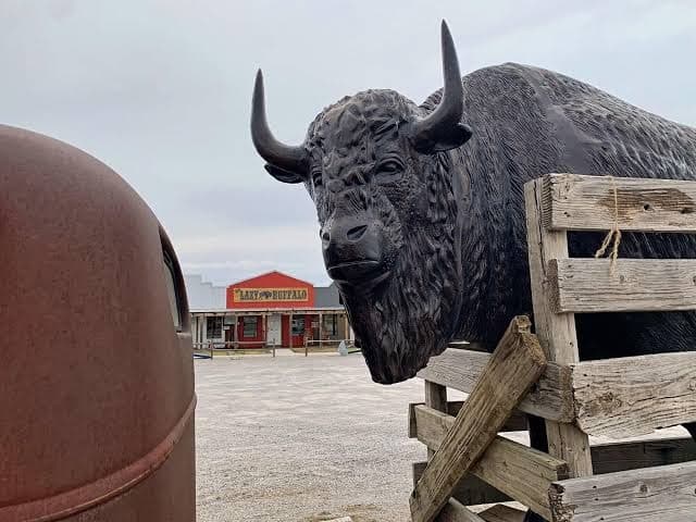 Gambling Buffalo Cabin near Casinos and Wichita Mountains Cache Medicine Park, Hotel in Cache