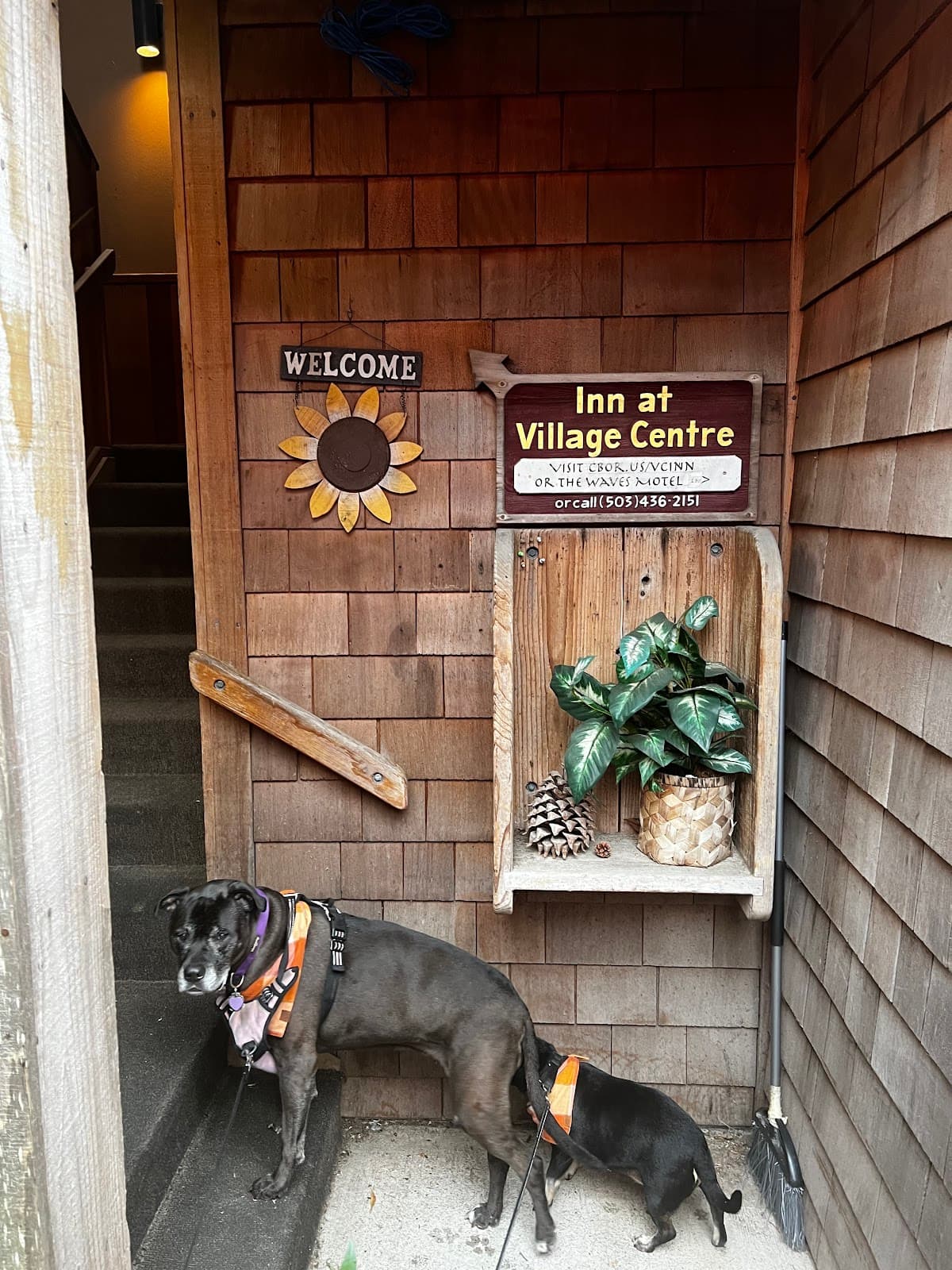 Inn at Village Centre, Motel in Cannon Beach