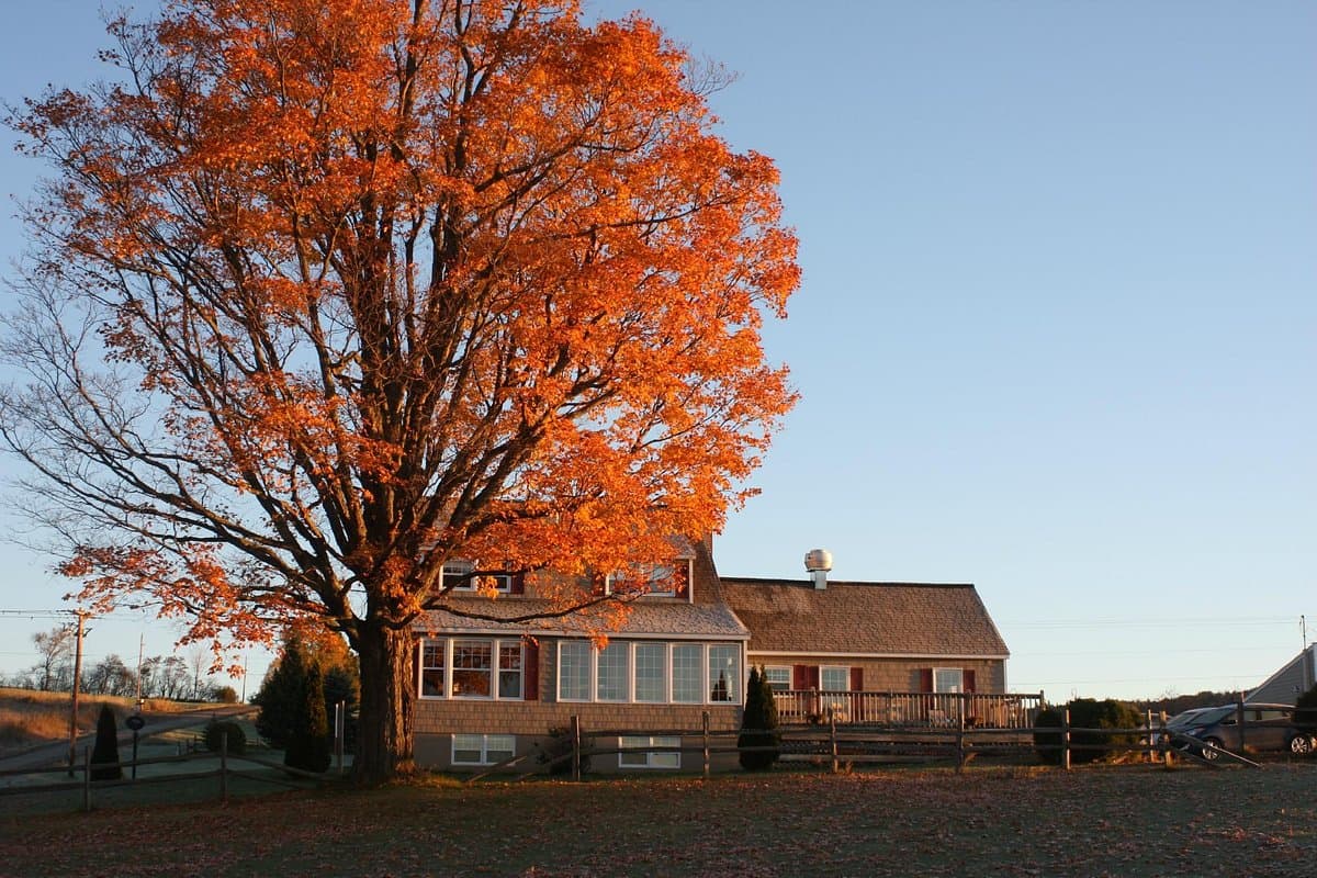 Notch View Inn & Campground, Hotel in Colebrook