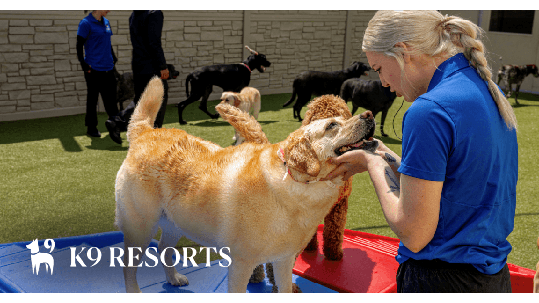 K9 Resorts Luxury Pet Hotel Wayne, Hotel in Devon