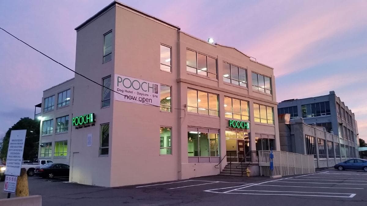 Pooch Hotel Norwalk, Hotel in East Norwalk