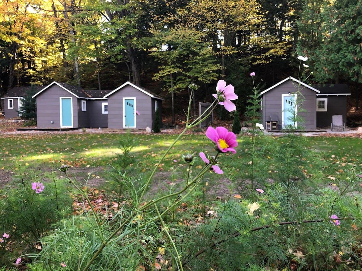 Paradise Pines Resort, Hotel in Elk Rapids