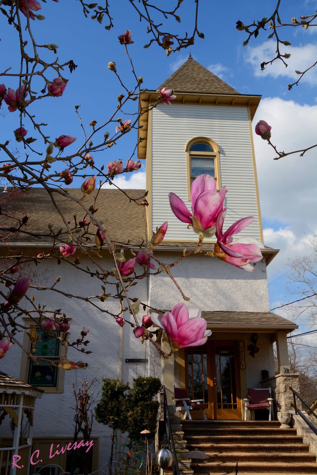 Briarwood Lodge, Hotel in Eureka Springs