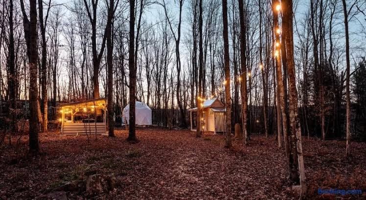 Cozy Unique Dome for a Romantic Glamping Getaway on a Private Farm in Woodridge, New York - Entire Place, Holiday Home in Fallsburg