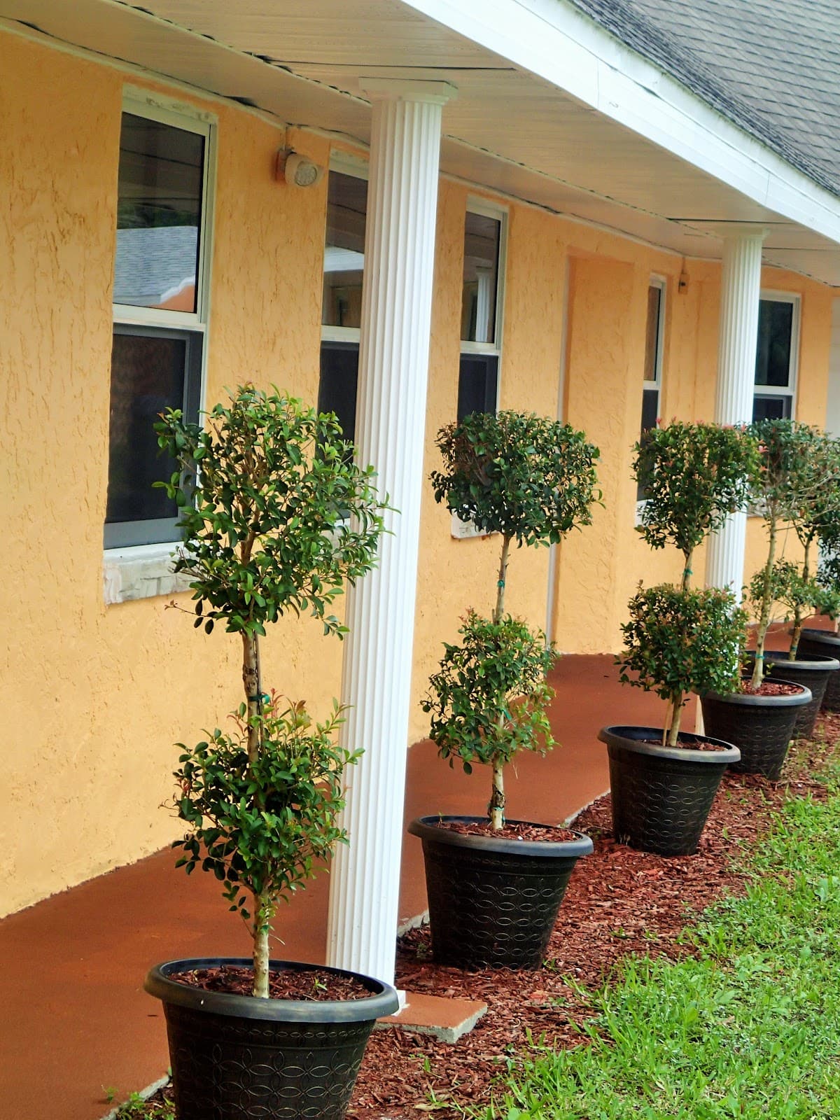 Be Inn, Motel in Harbour Heights