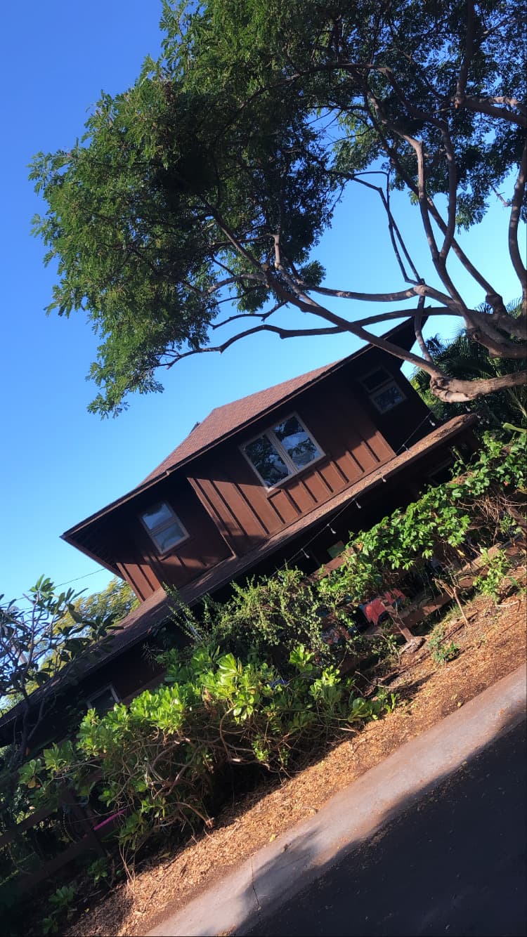 The Megan Love In Hawai‘i House, Bed & Breakfast in Hōlualoa