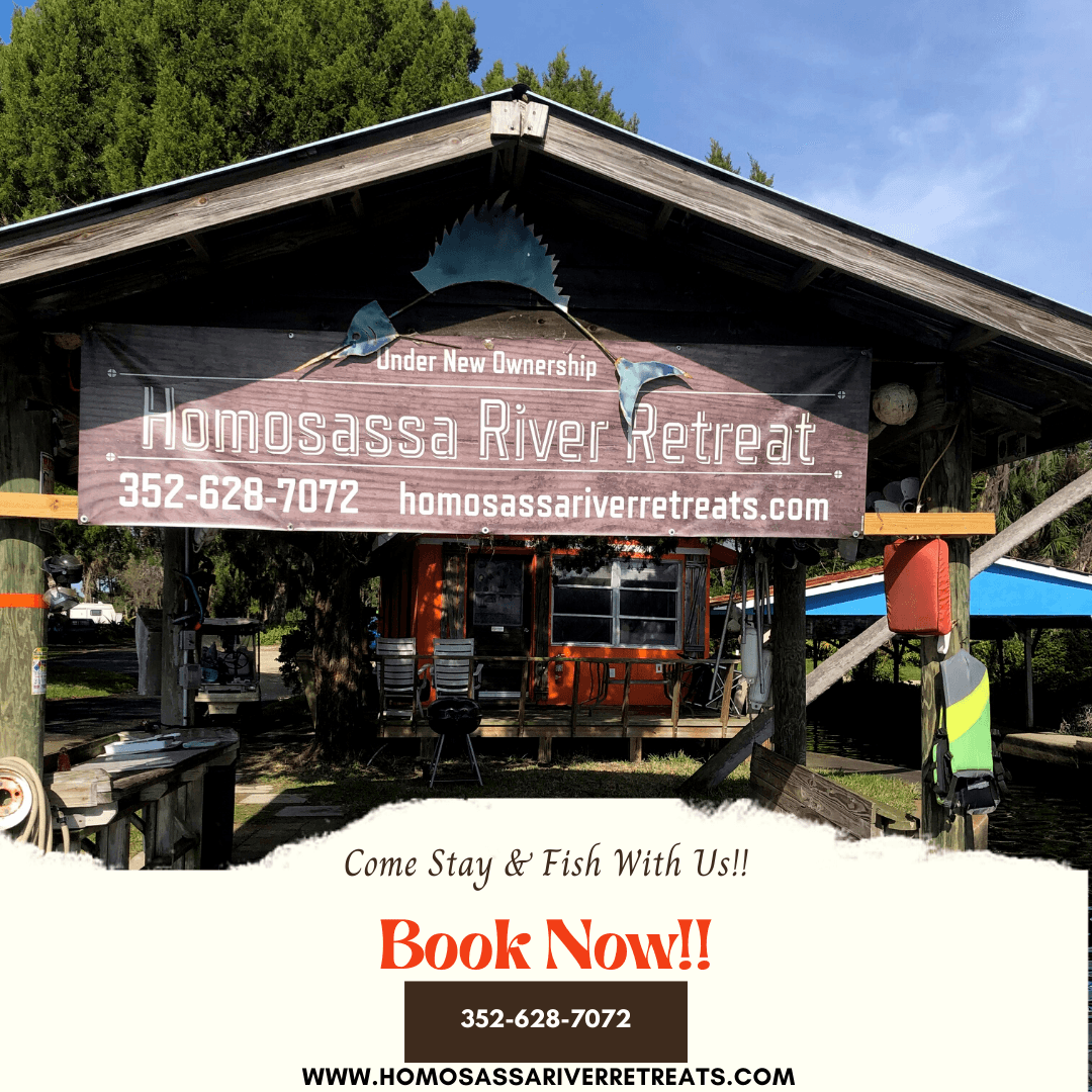 Homosassa River Retreat, Hotel in Homosassa