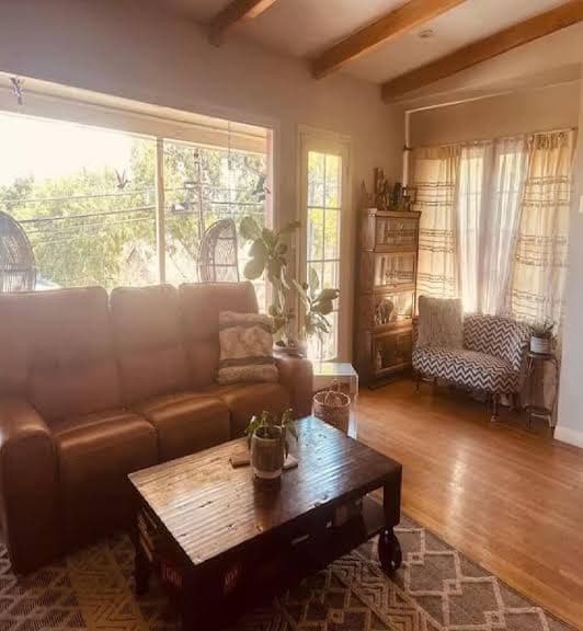 Tranquil 3-bedroom house in Village w/ Hot Tub, Hotel in La Mesa