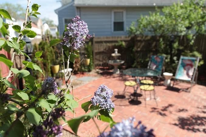 Westcott House, Bed & Breakfast in Lorenz Park