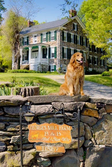 Georges Mill Farm Bed & Breakfast, Bed & Breakfast in Lovettsville
